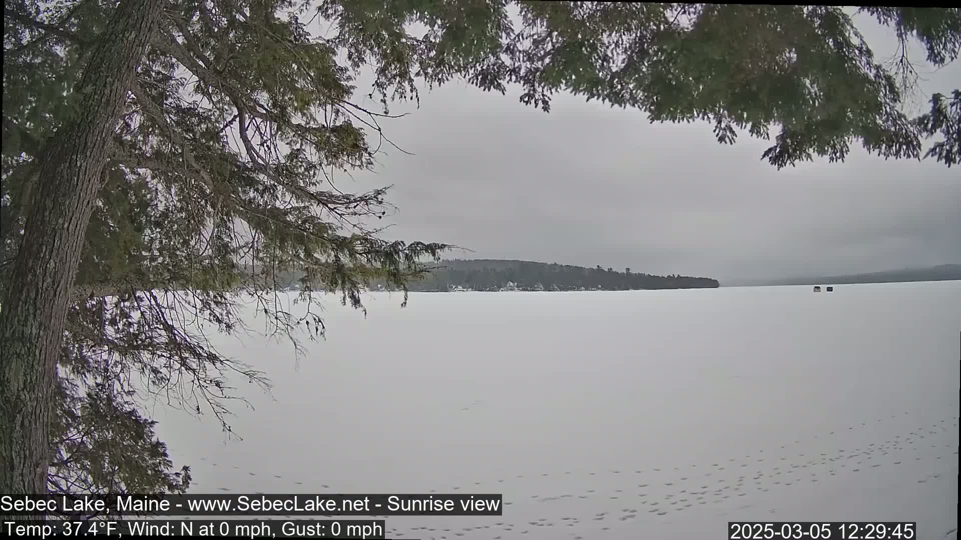 A snow-covered frozen lake is seen from behind a tree branch, under an overcast sky.