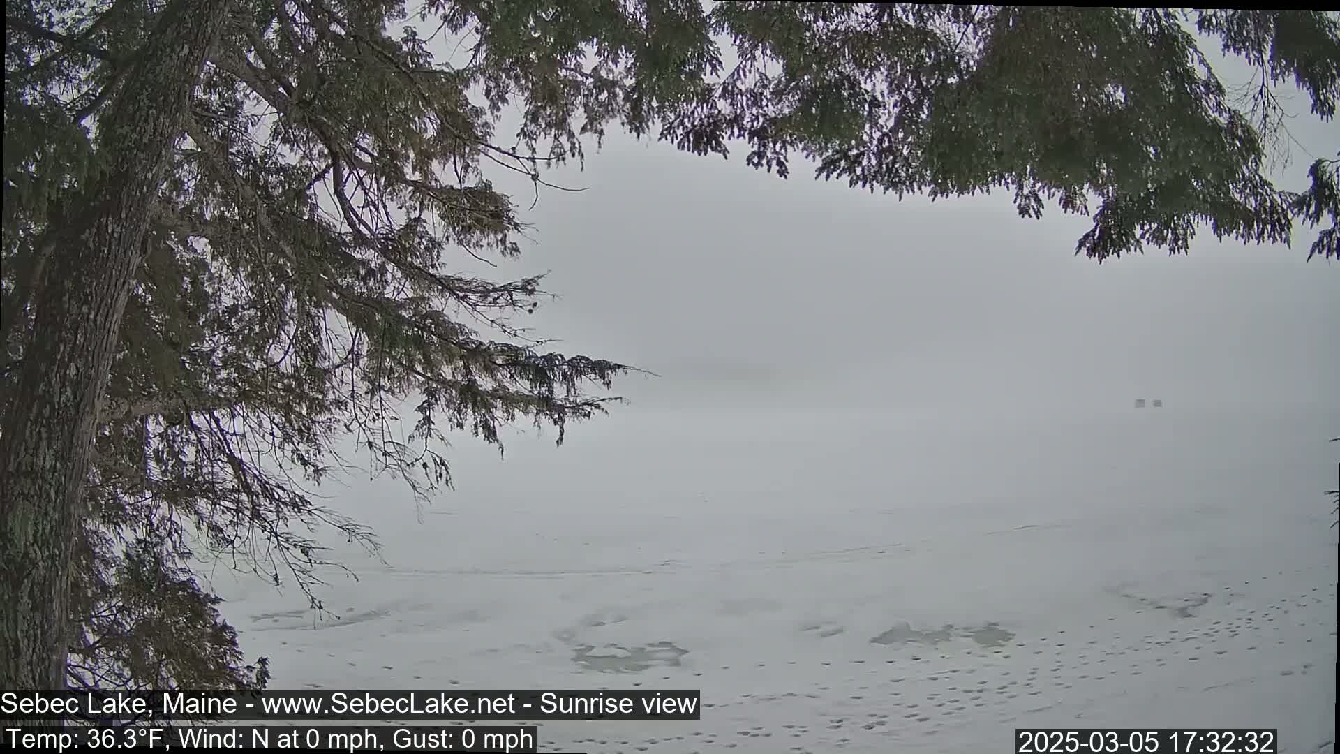 A snow-covered lake is visible through the branches of a tree on an overcast day.