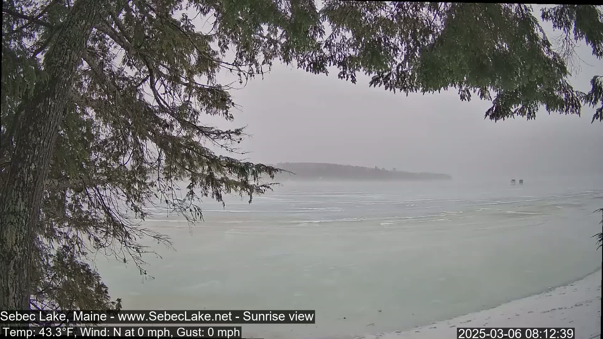 A partially frozen lake is seen through the branches of a coniferous tree on a foggy, overcast day.