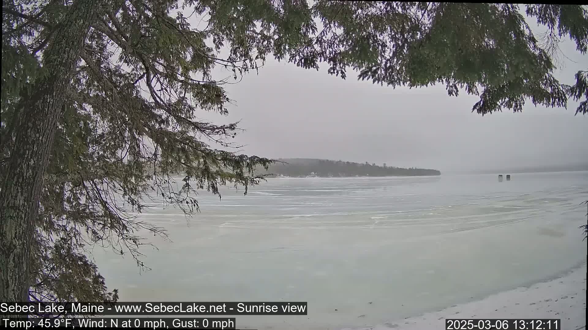 A partially frozen lake is seen through the branches of a coniferous tree on an overcast day.