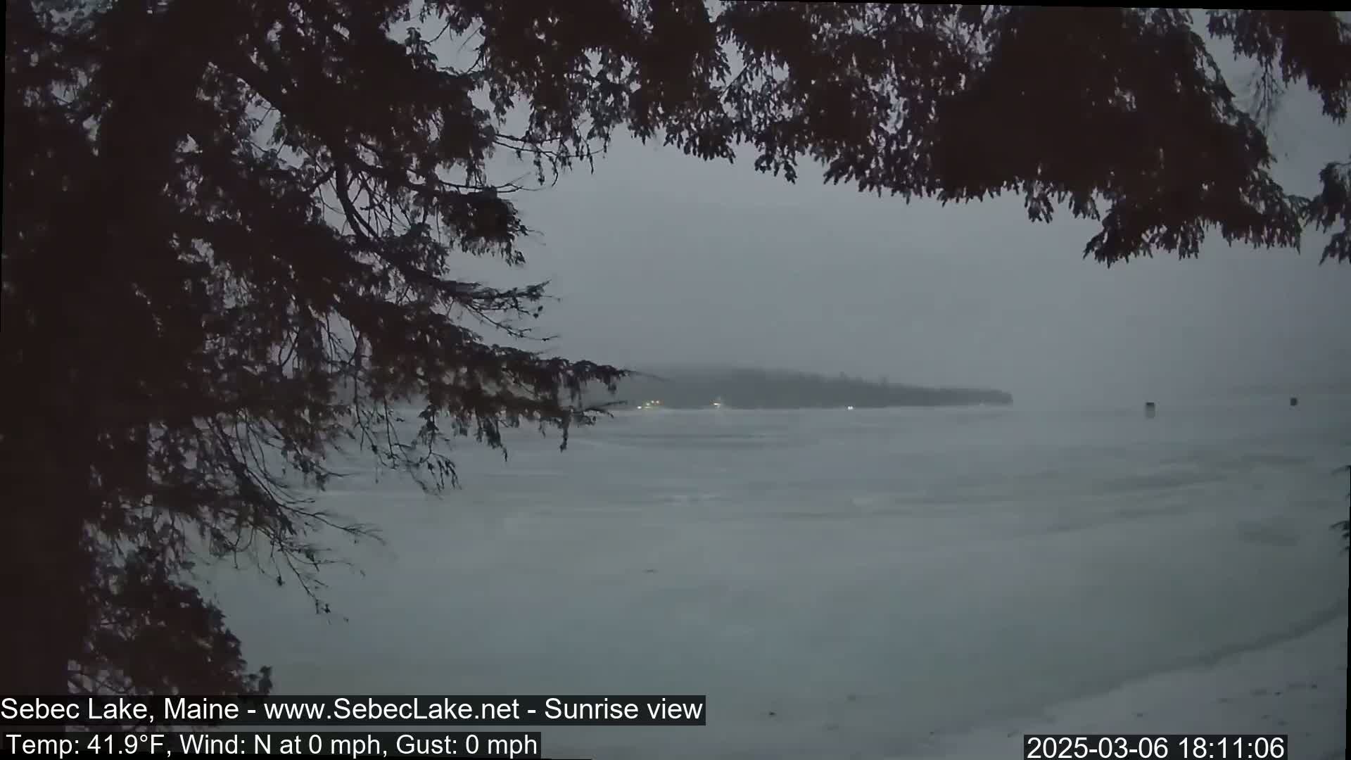 A partially frozen lake is visible through the branches of a dark evergreen tree during a snowy, overcast day.
