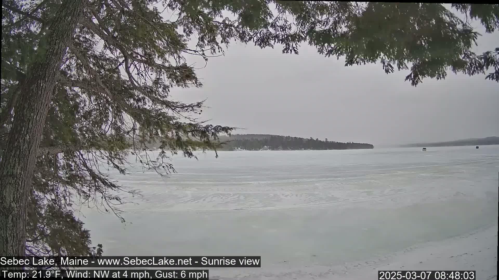 A frozen lake is seen through the branches of a coniferous tree on an overcast day.