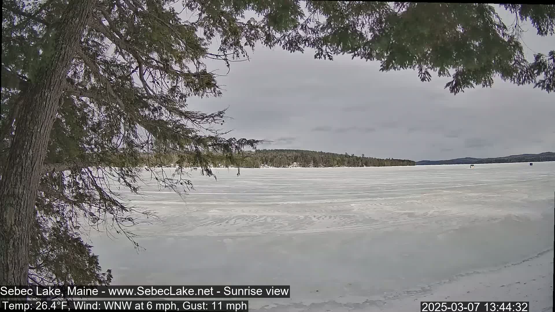 A frozen lake stretches to a treeline under an overcast sky, viewed from behind a tree branch.
