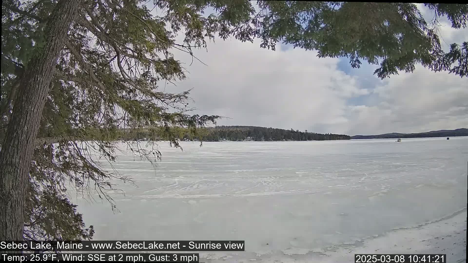 A mostly cloudy day reveals a frozen lake with a tree branch in the foreground, and a distant shoreline with sparse trees under a light gray sky.