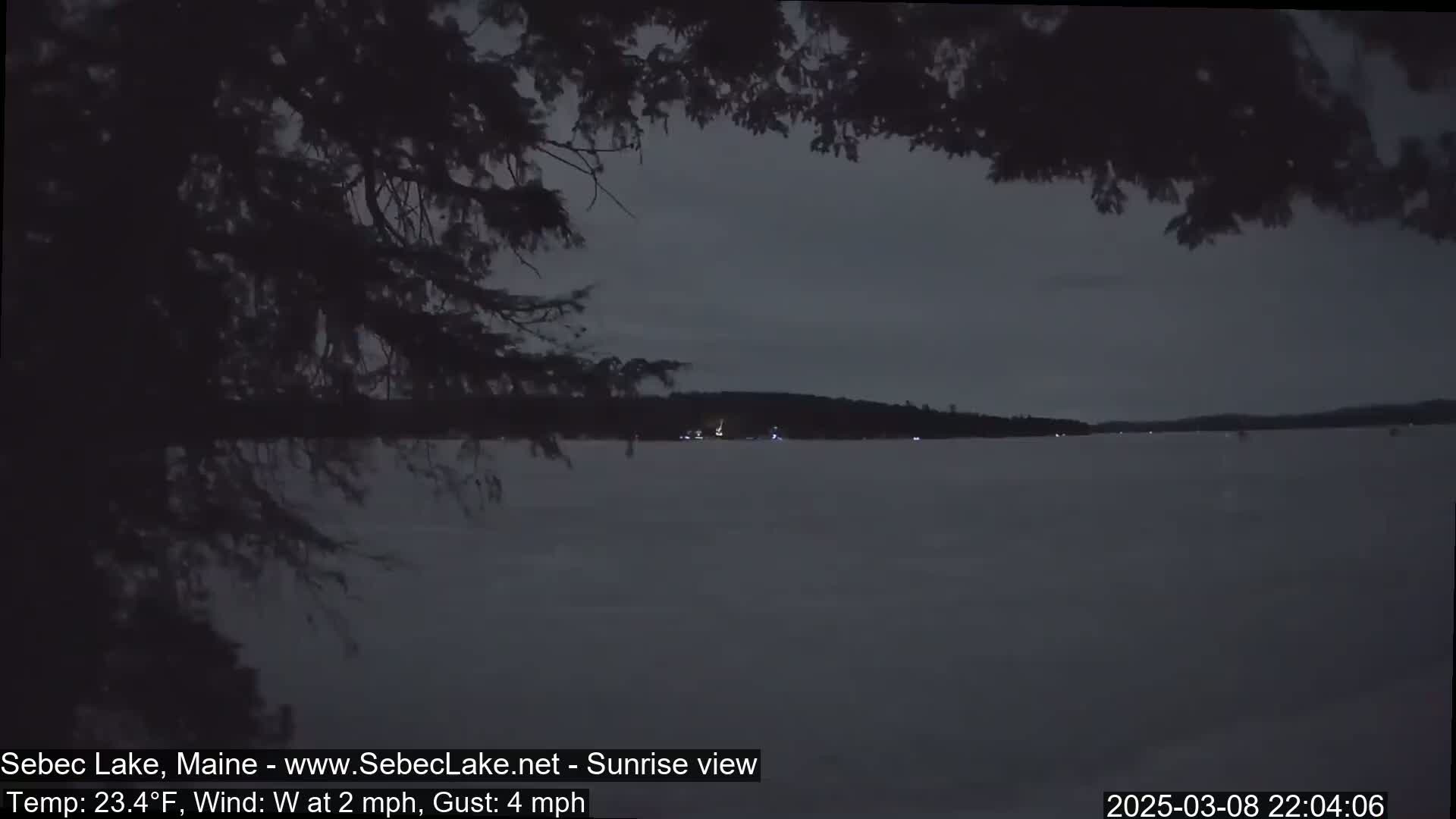 A dark, pre-dawn view of a mostly frozen lake is seen through the branches of a tree, with a faint line of lights visible on the far shore under a gray sky.