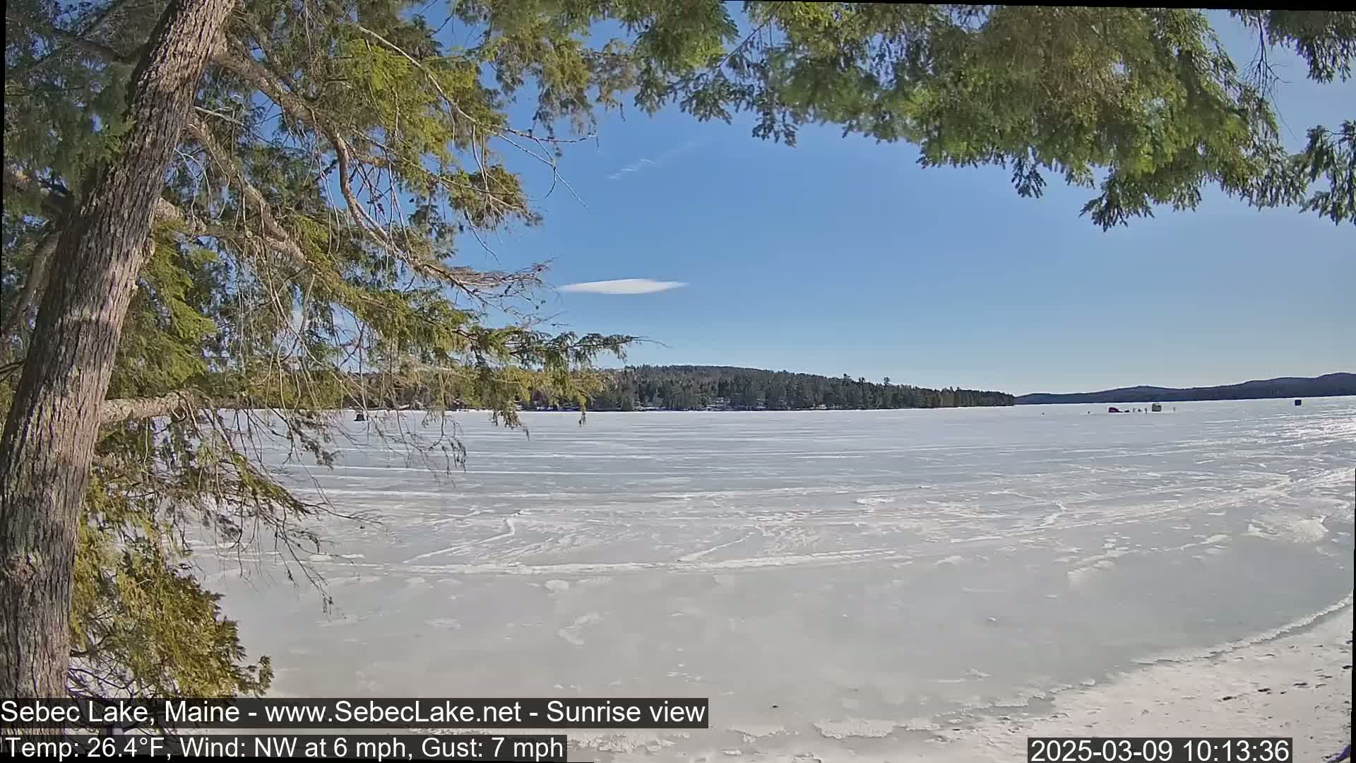 A frozen lake stretches to a wooded shoreline under a clear blue sky with a single small cloud, partially obscured by overhanging tree branches.