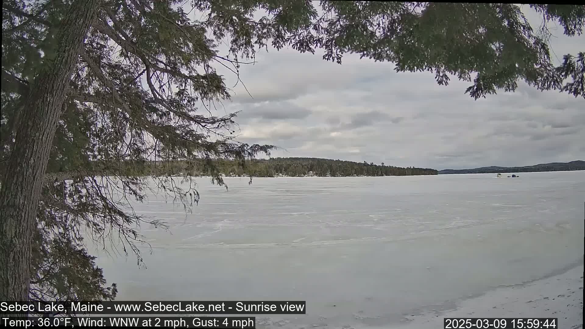 A frozen lake is seen under a cloudy sky, partially obscured by the branches of a tree in the foreground.