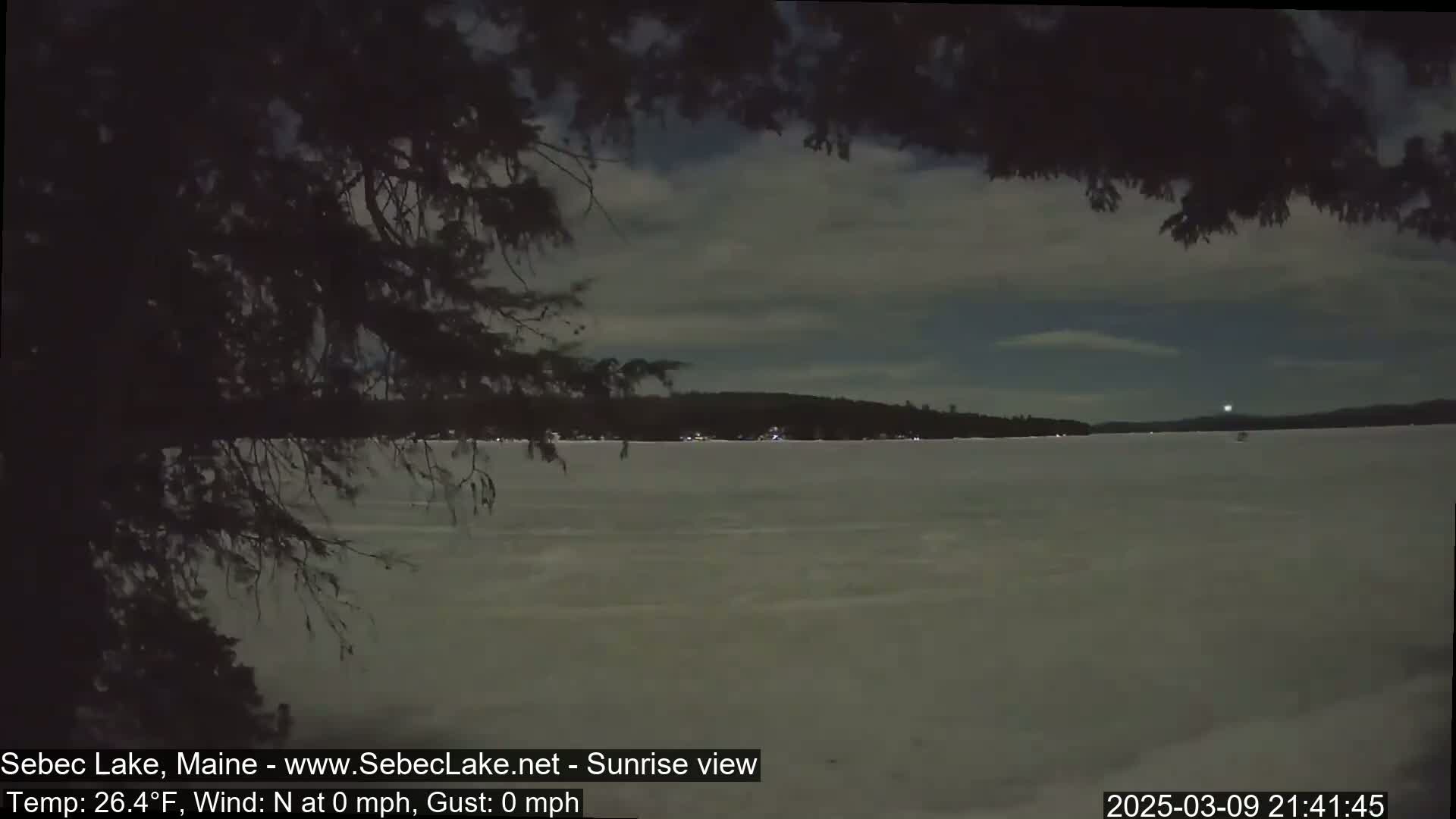 A frozen lake is visible under a dark, mostly clear night sky, partially obscured by tree branches in the foreground.