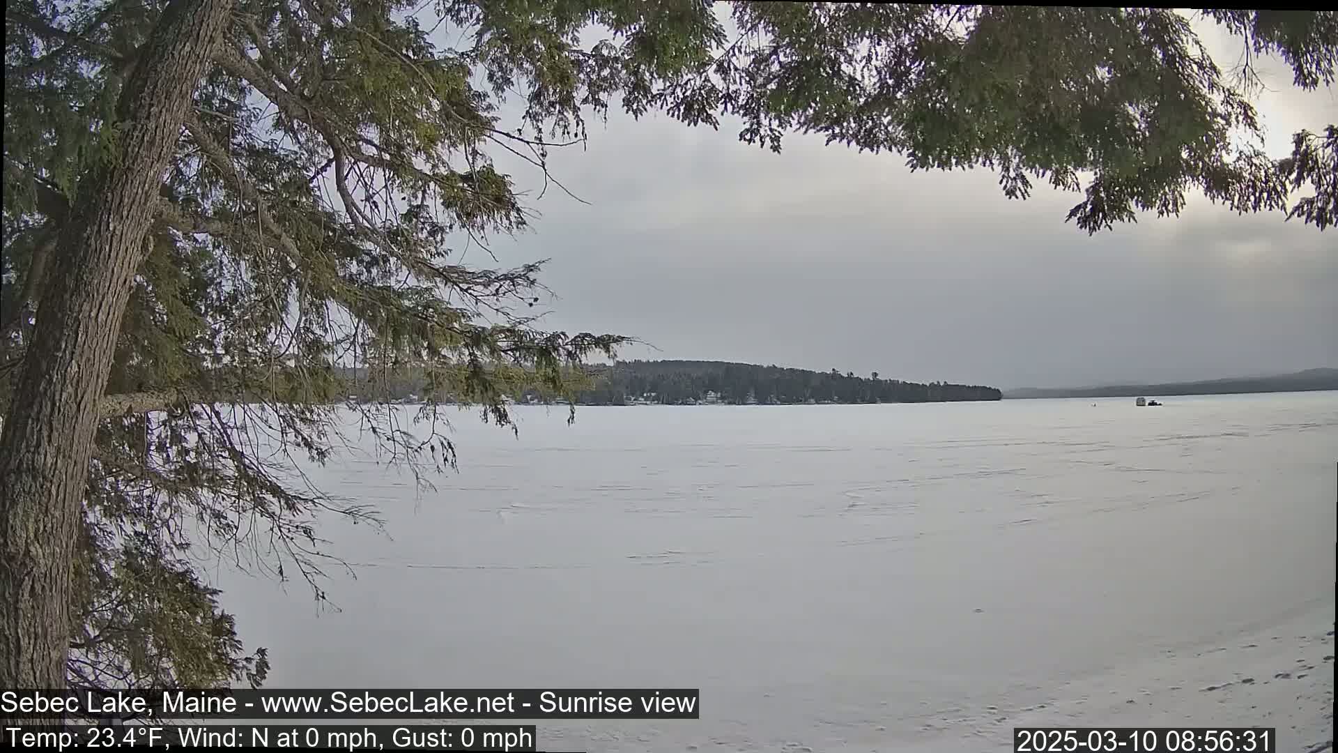 A snow-covered frozen lake stretches to a tree-lined shore under an overcast sky, partially obscured by overhanging tree branches.