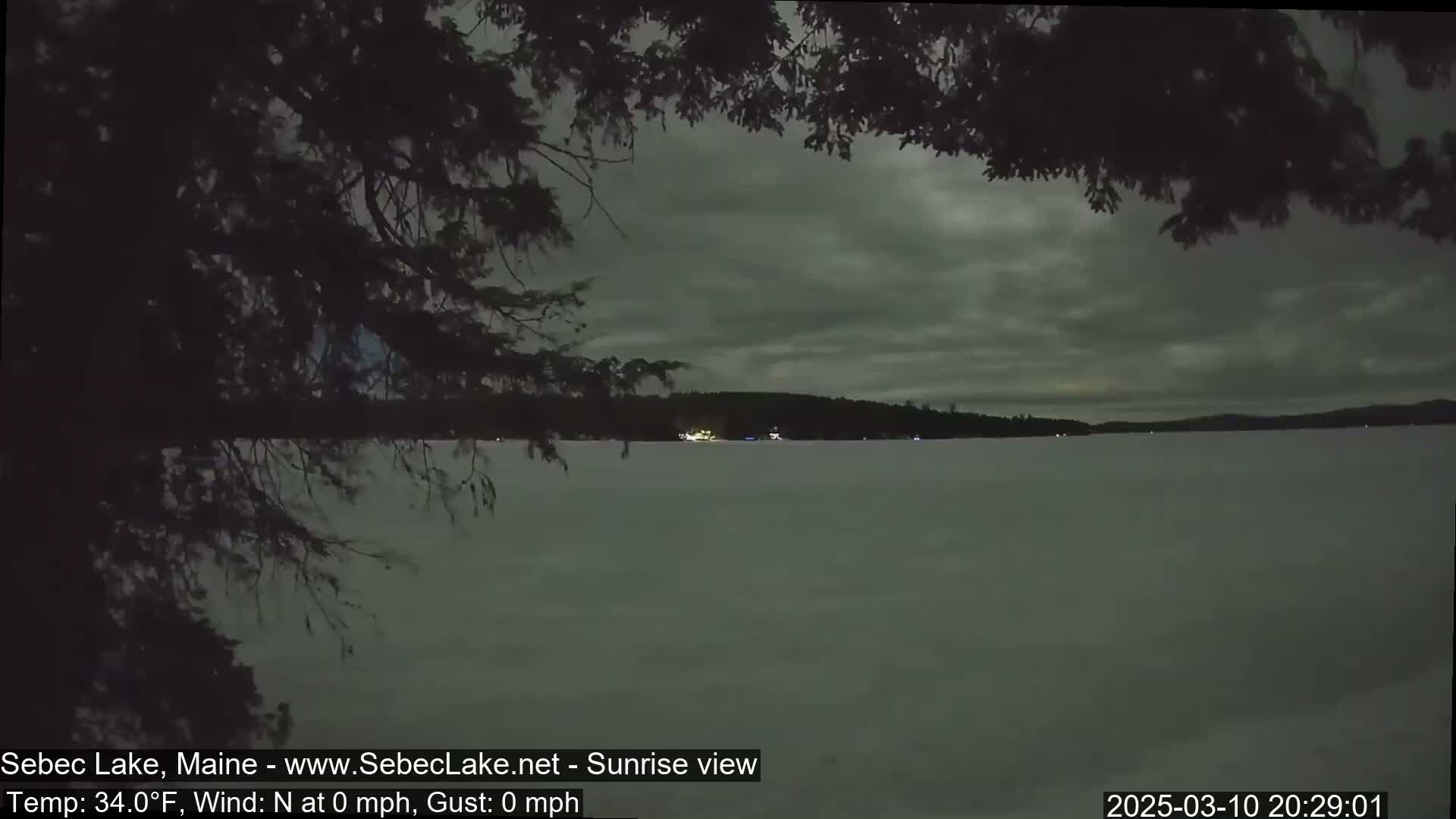A frozen lake is visible through the branches of a tree under a cloudy, dark sky.