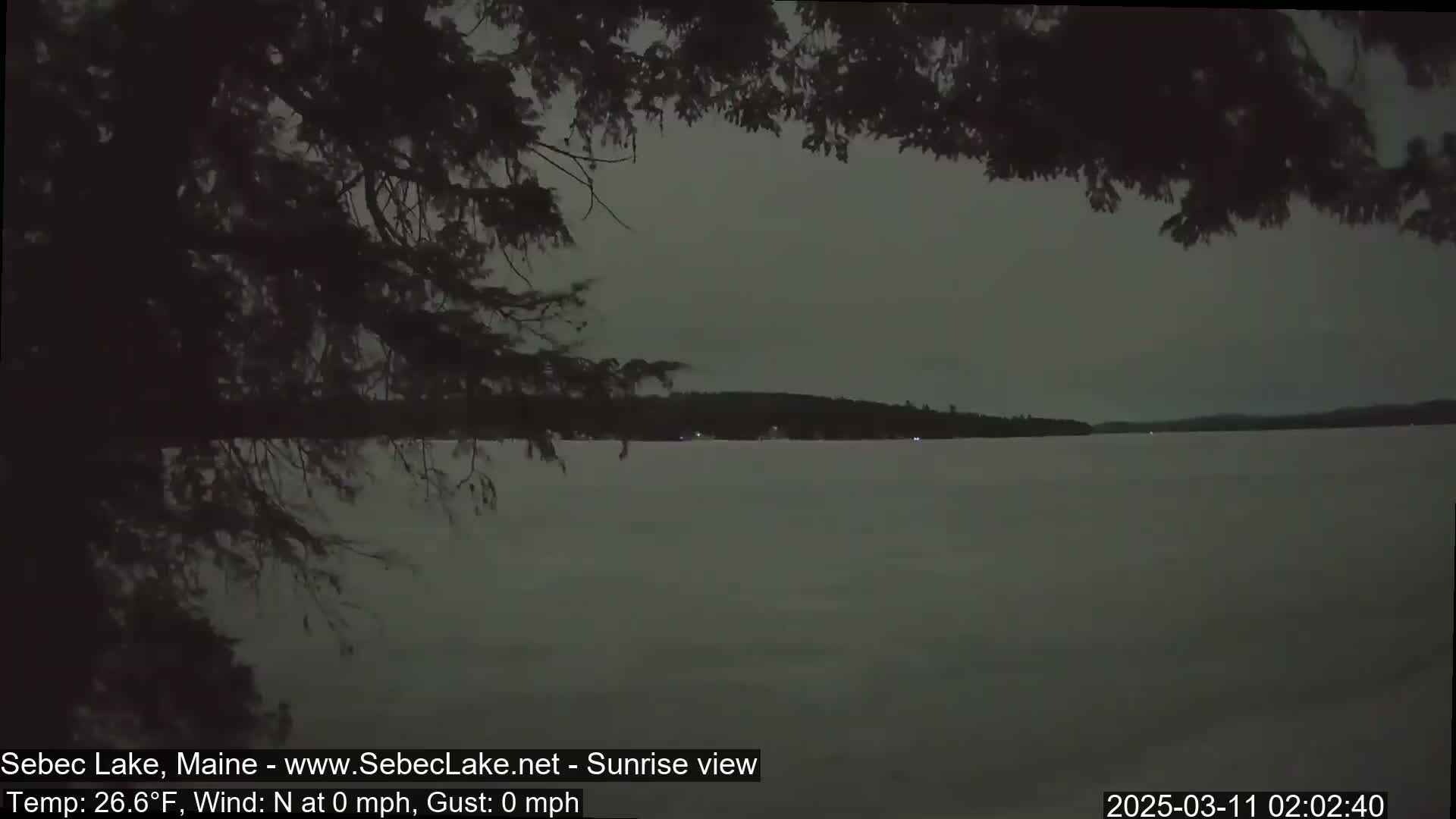 A dark, calm lake is seen through the branches of a tree under a gray sky at sunrise.