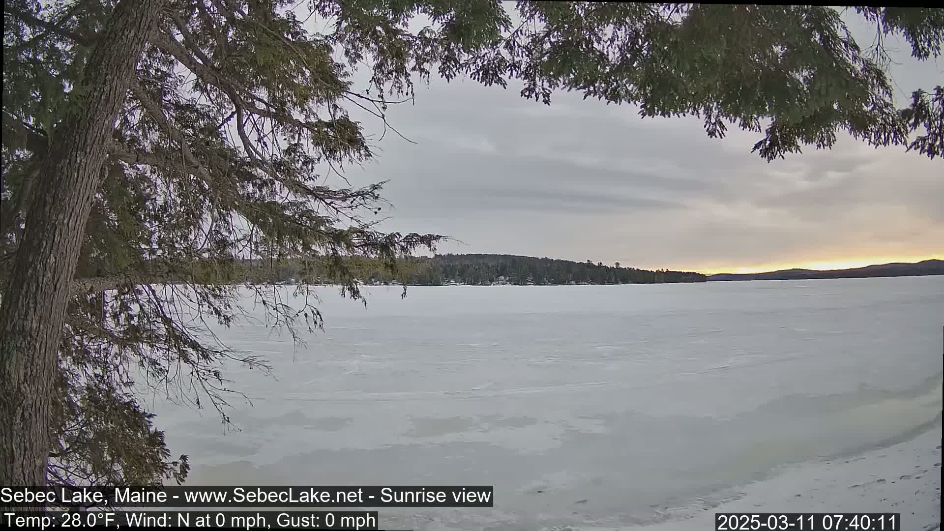 A frozen lake at sunrise is viewed from behind a tree, with a calm sky and distant shoreline.