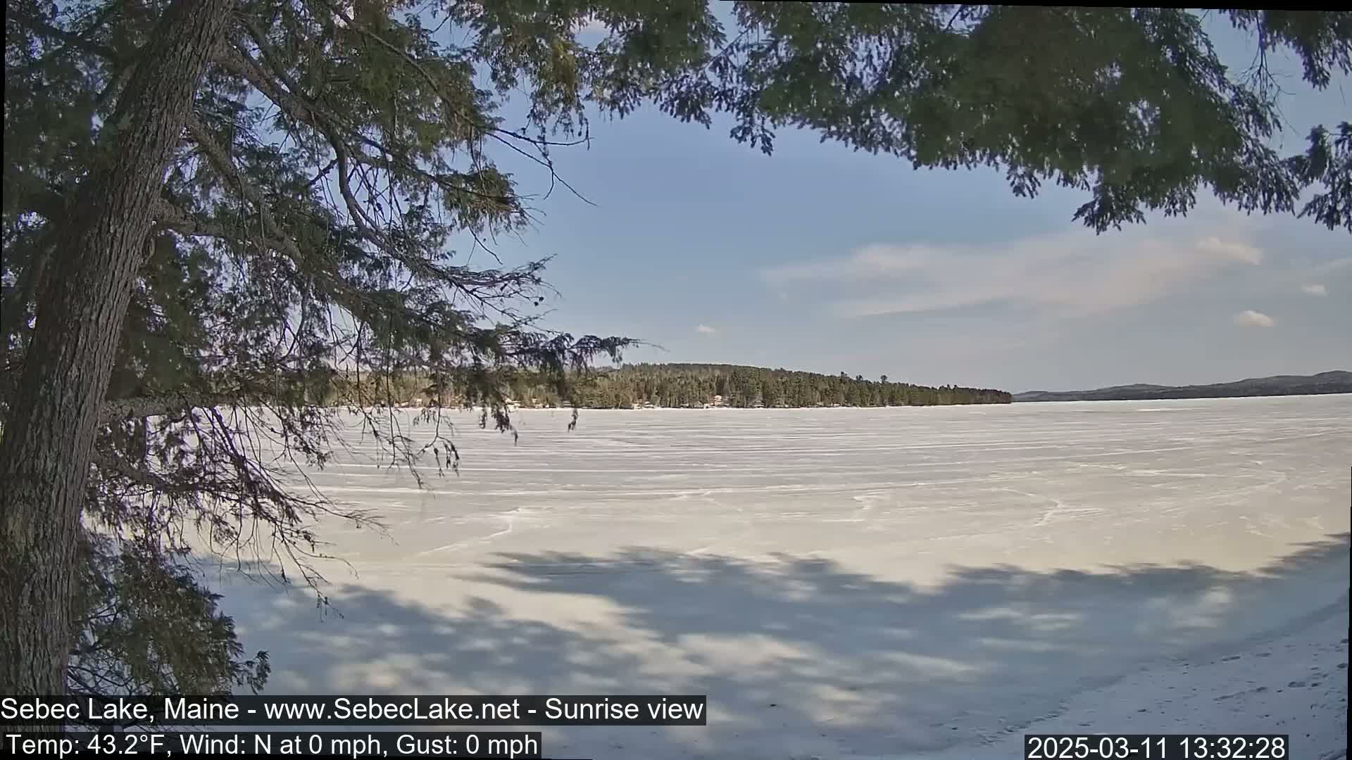 A frozen lake stretches to a tree-lined shore under a partly cloudy, sunny sky, viewed through the branches of a coniferous tree.