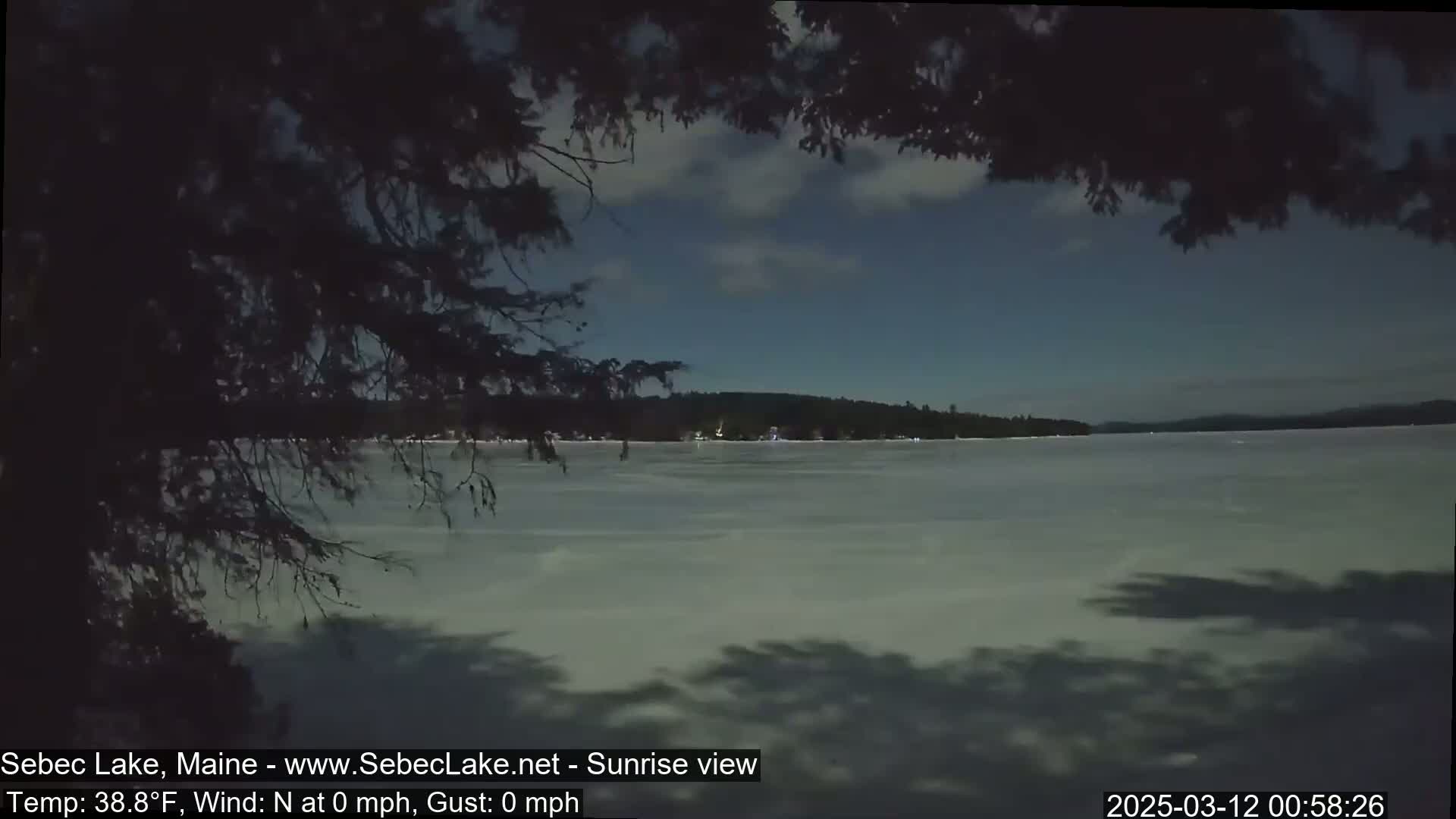 A partially frozen lake is seen at dawn, with a calm, clear sky and dark tree branches partially obscuring the view.
