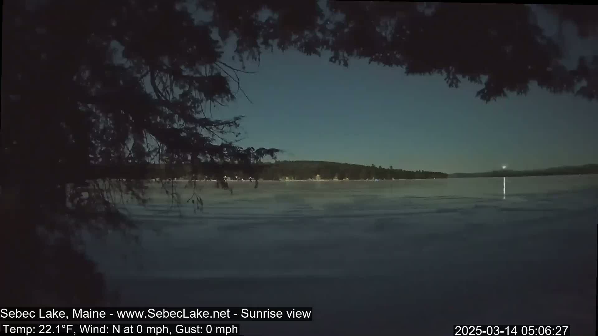 A frozen lake is seen at dawn, with a dark tree branch partially obscuring the view.