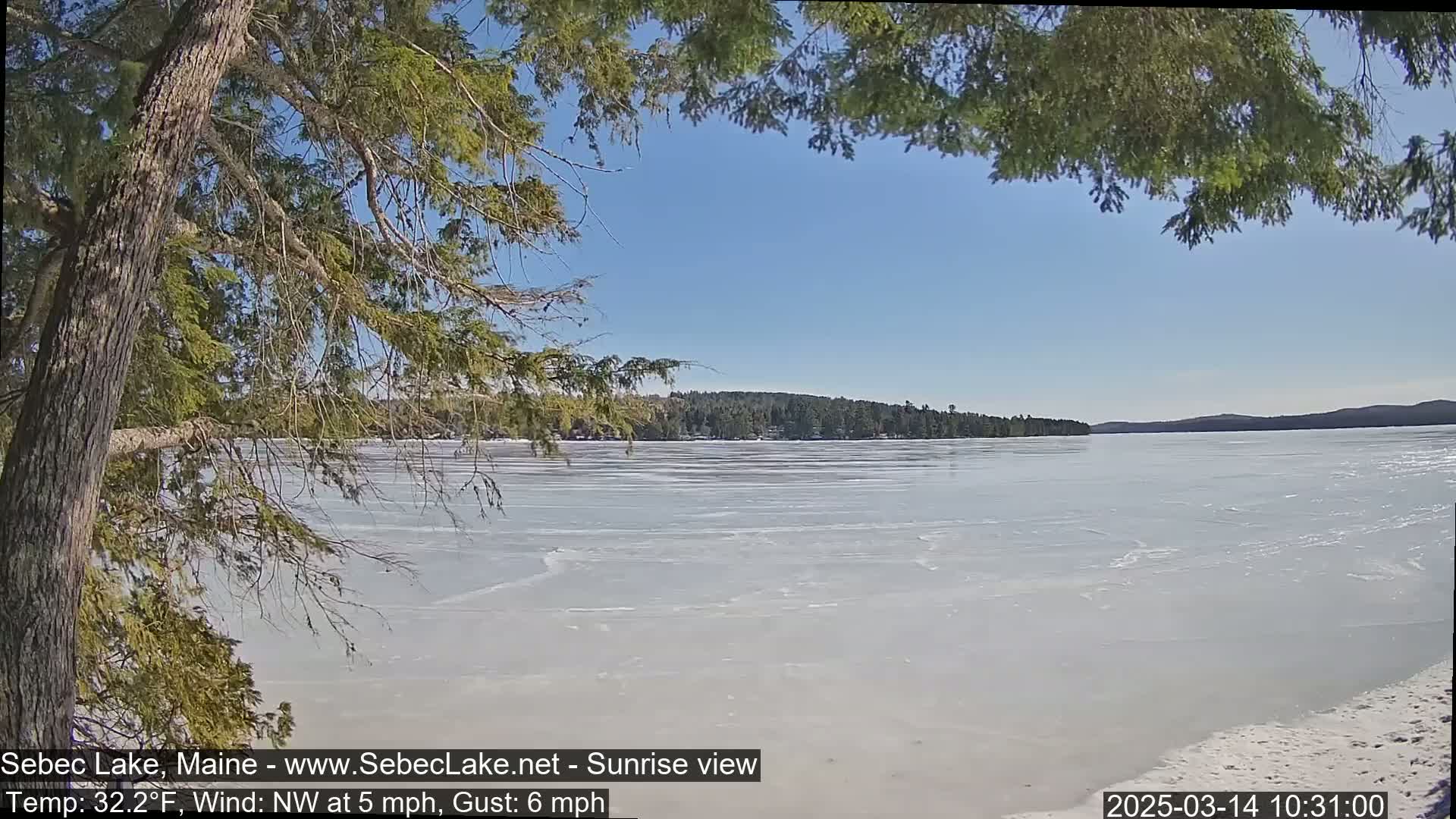 A mostly frozen lake is seen from a shoreline under a clear blue sky, partially obscured by overhanging tree branches.
