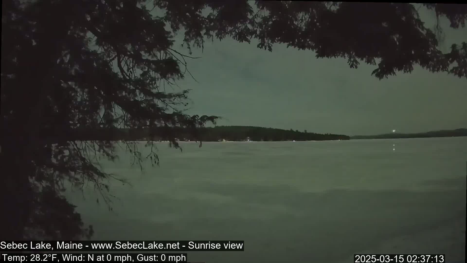 A mostly calm, dark-grey lake is seen at night through the branches of a tree, with a distant tree-covered shoreline faintly visible.