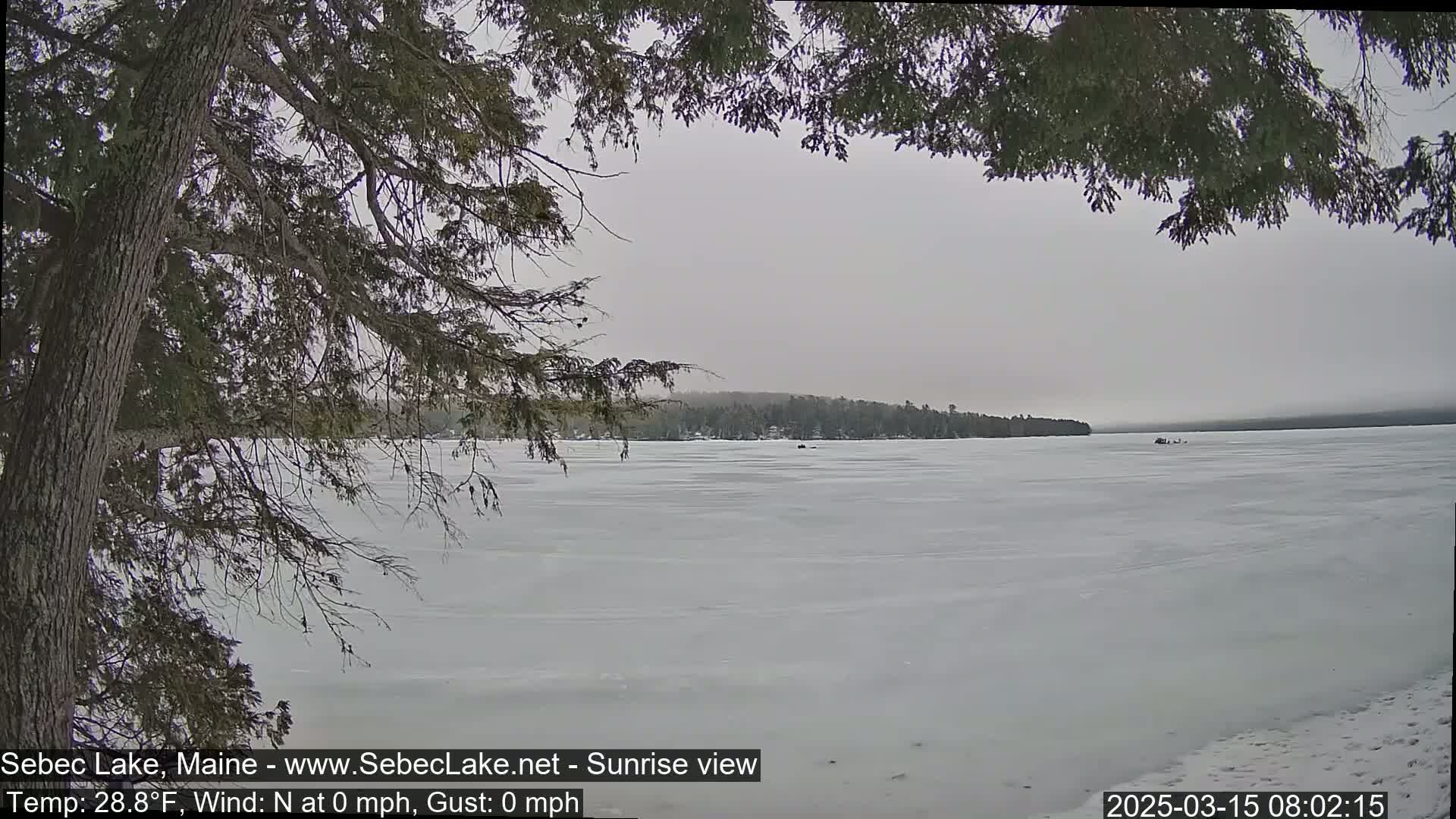 A frozen lake is seen through the branches of a tree on an overcast day.