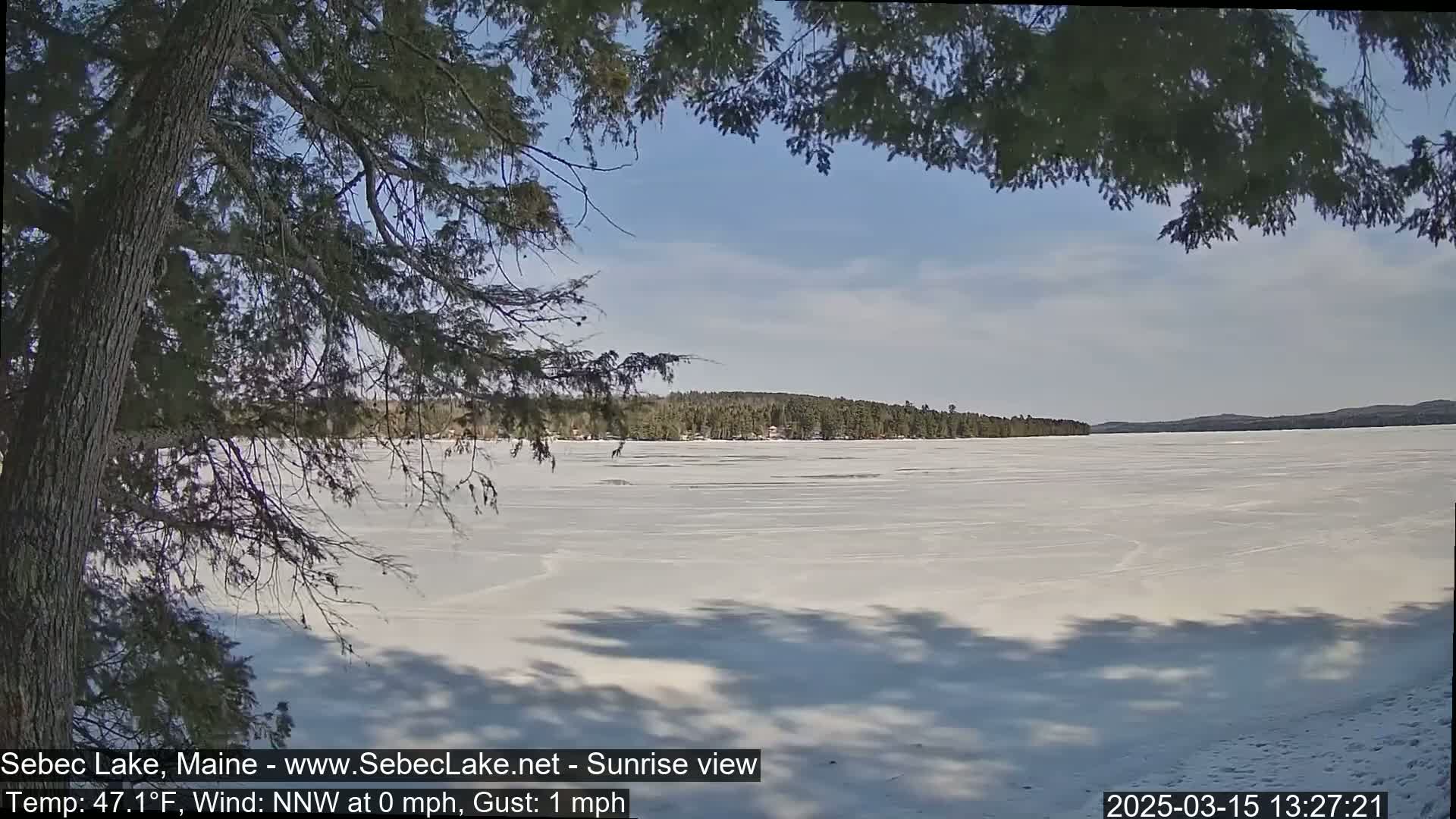 A frozen lake under a partly sunny sky is seen through the branches of a coniferous tree.