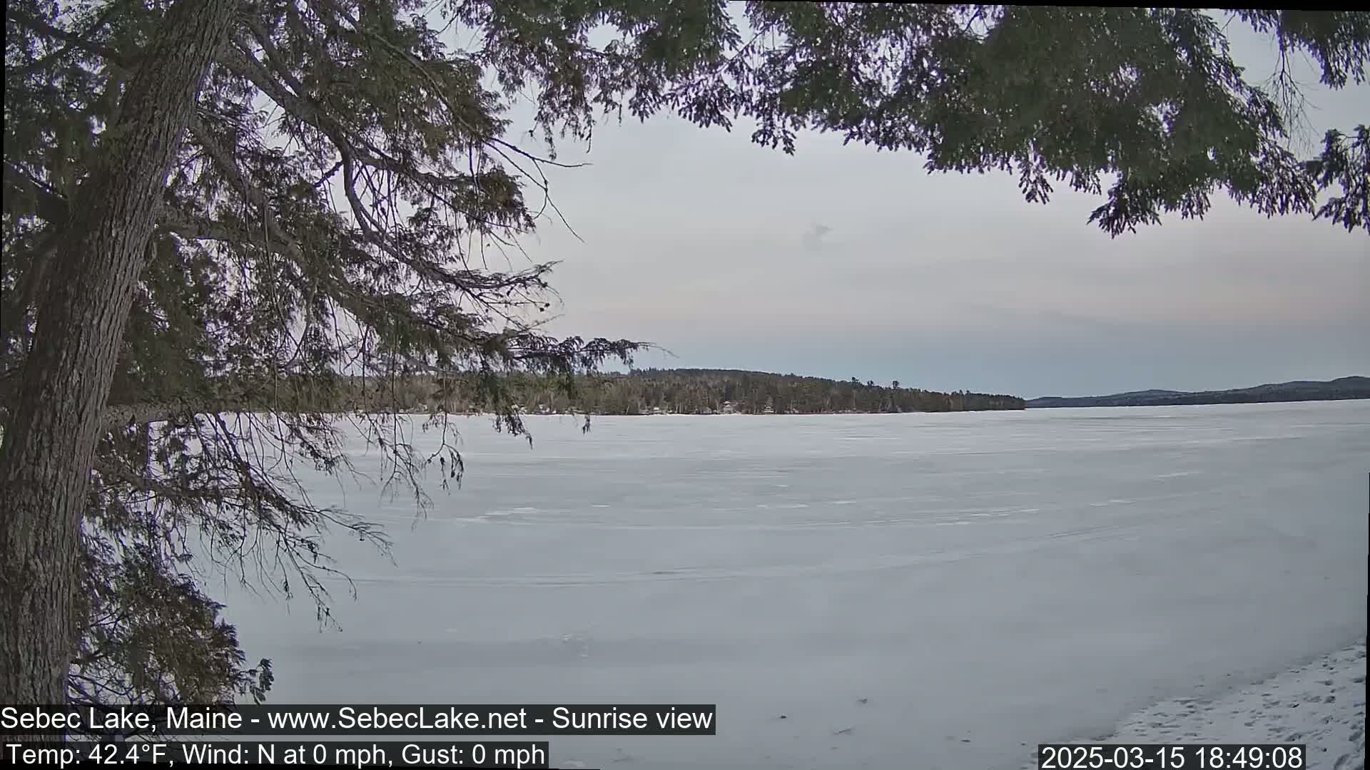 A frozen lake stretches to a treeline under a cloudy, gray sky, partially obscured by overhanging tree branches.