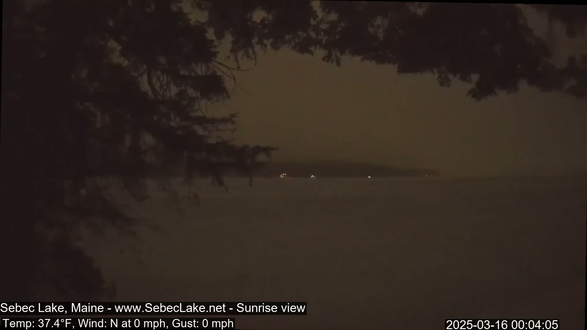 A dark, hazy view of a lake at night, seen through tree branches, with a few faint lights visible on the far shore.