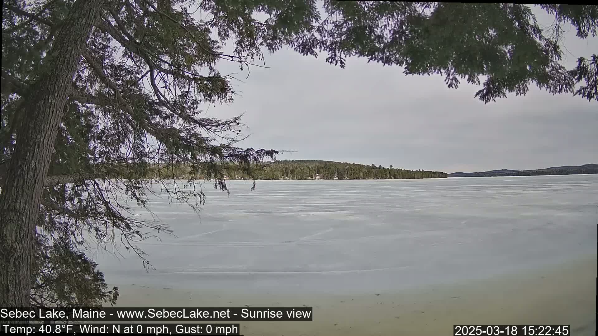 A mostly frozen lake is seen from behind a partially obscuring tree, under an overcast sky.