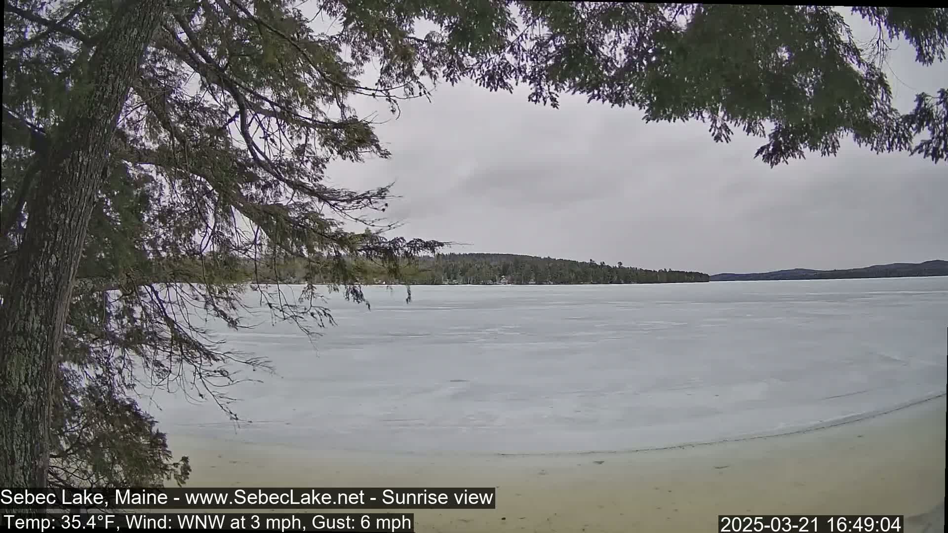 A frozen lake is seen through the branches of a tree on an overcast day.