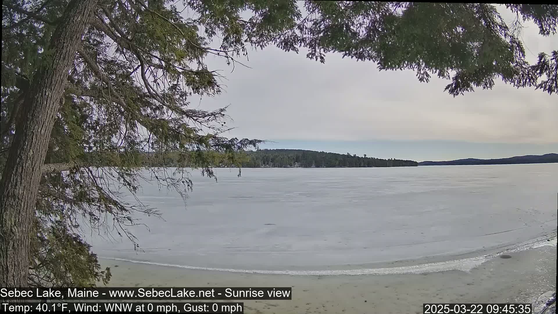 A frozen lake is seen from a lakeside vantage point under an overcast sky, partially obscured by tree branches.