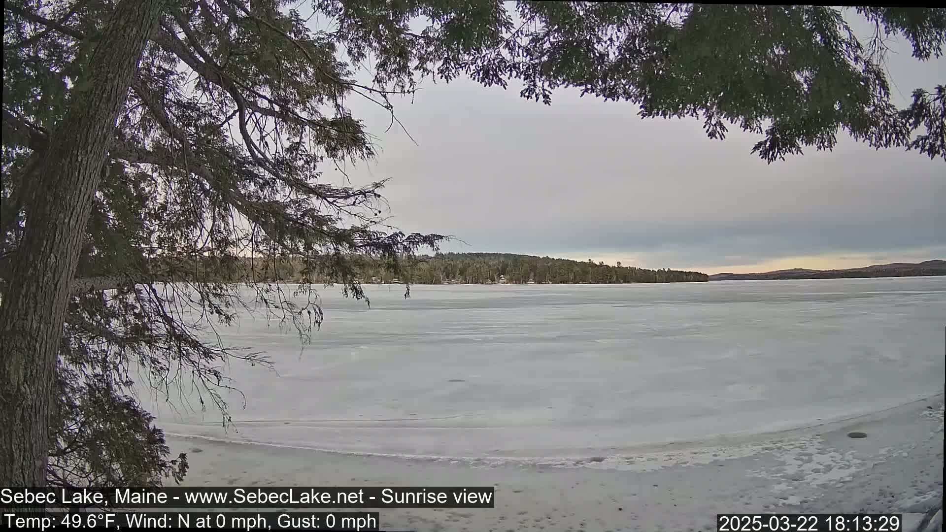 A mostly cloudy sky hangs over a frozen lake, partially visible through the branches of a tree.