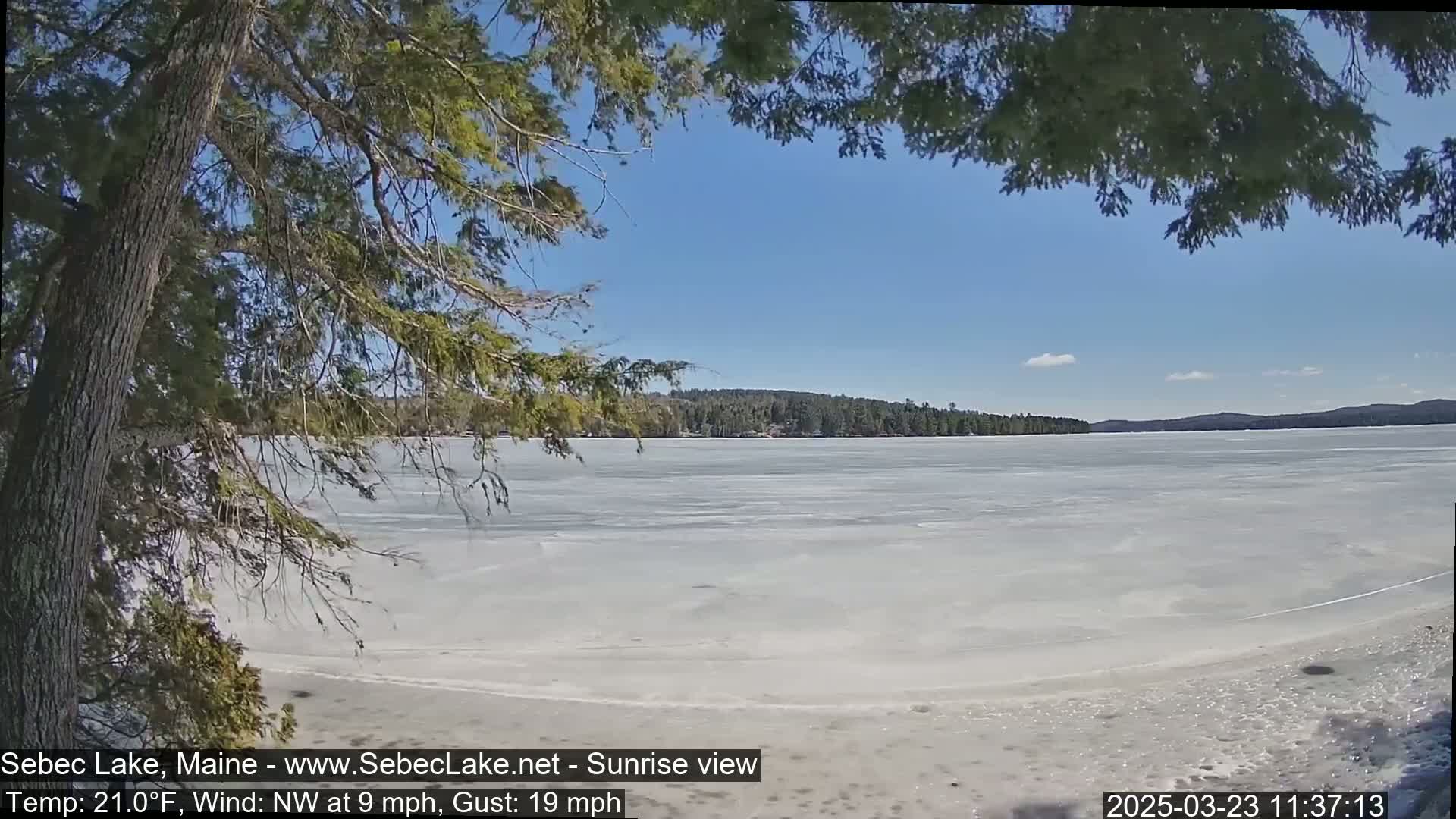 A partially frozen lake is seen from a shoreline, under a clear blue sky with a slight wind.
