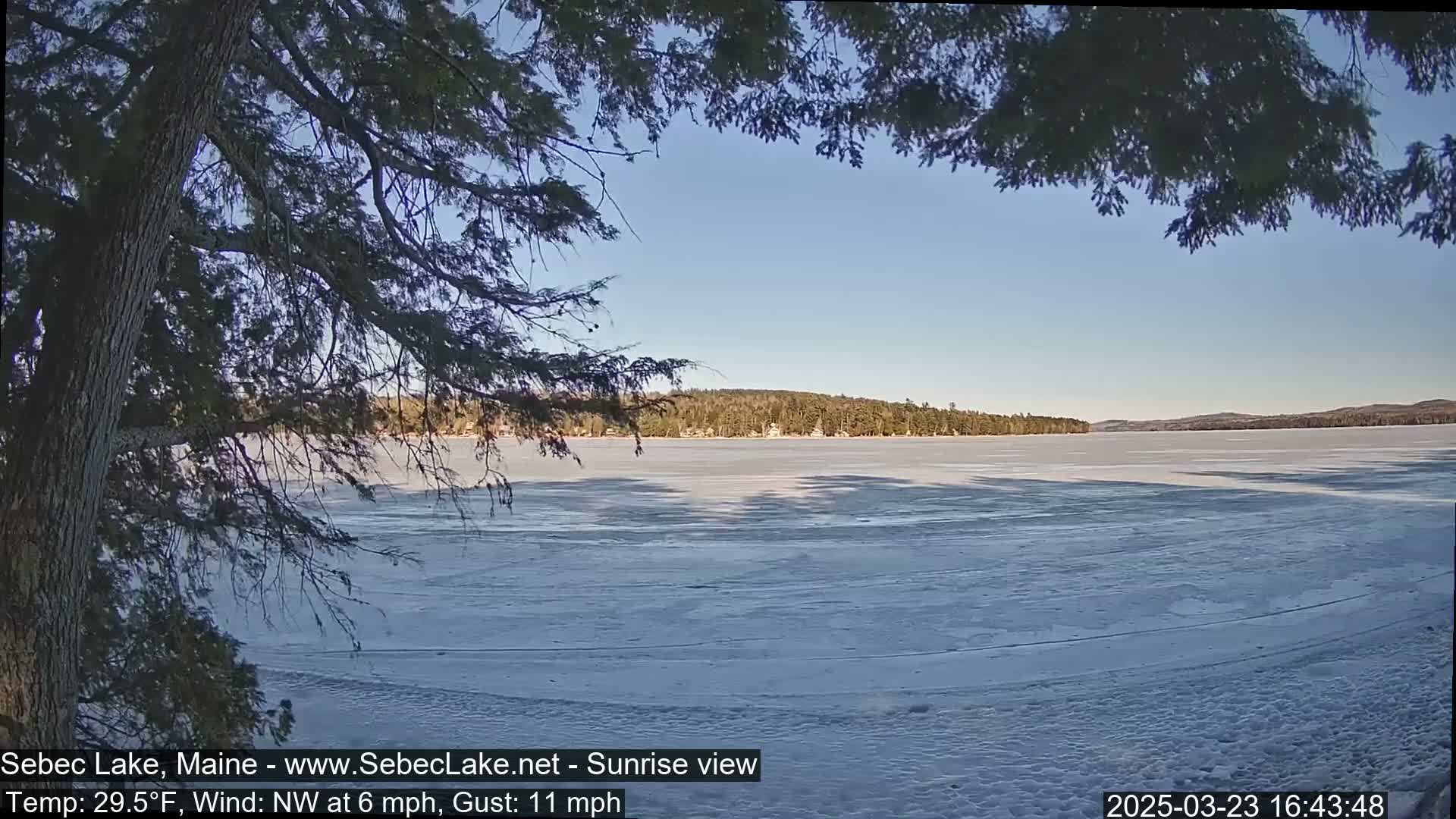 A frozen lake is visible through the branches of a tree on a clear, sunny day with a northwest wind.