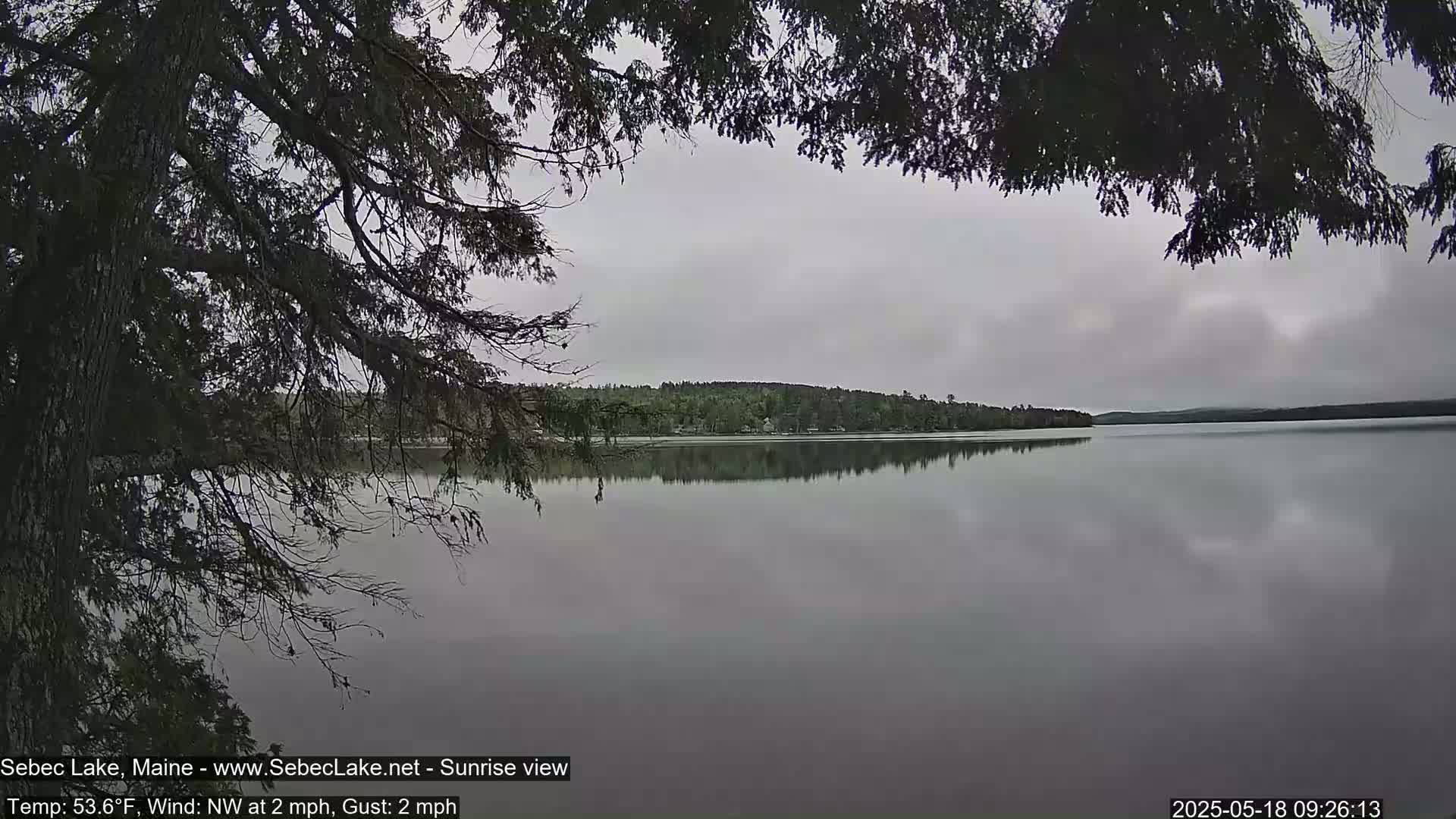 A calm lake reflecting a gray sky is partially obscured by overhanging tree branches.