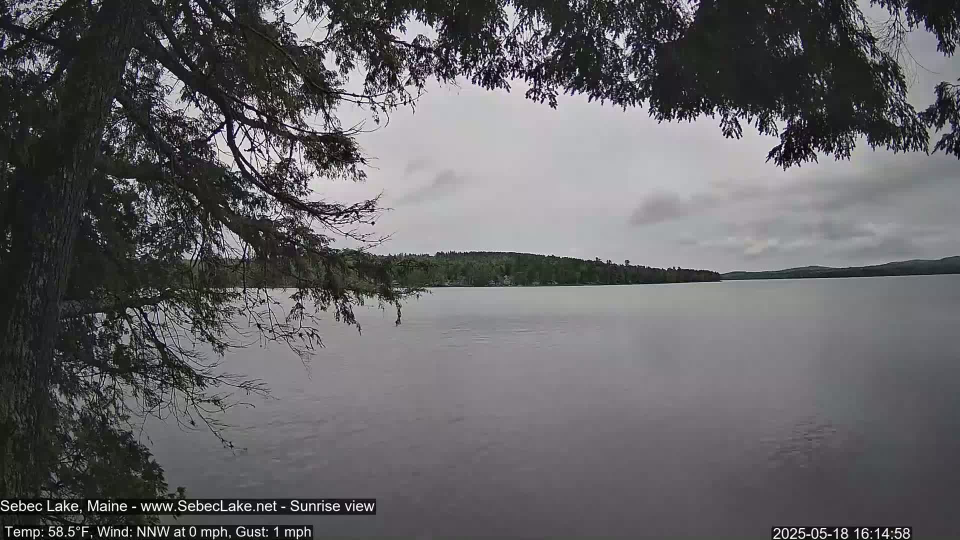 A calm lake is seen through the branches of a dark evergreen tree under an overcast sky.