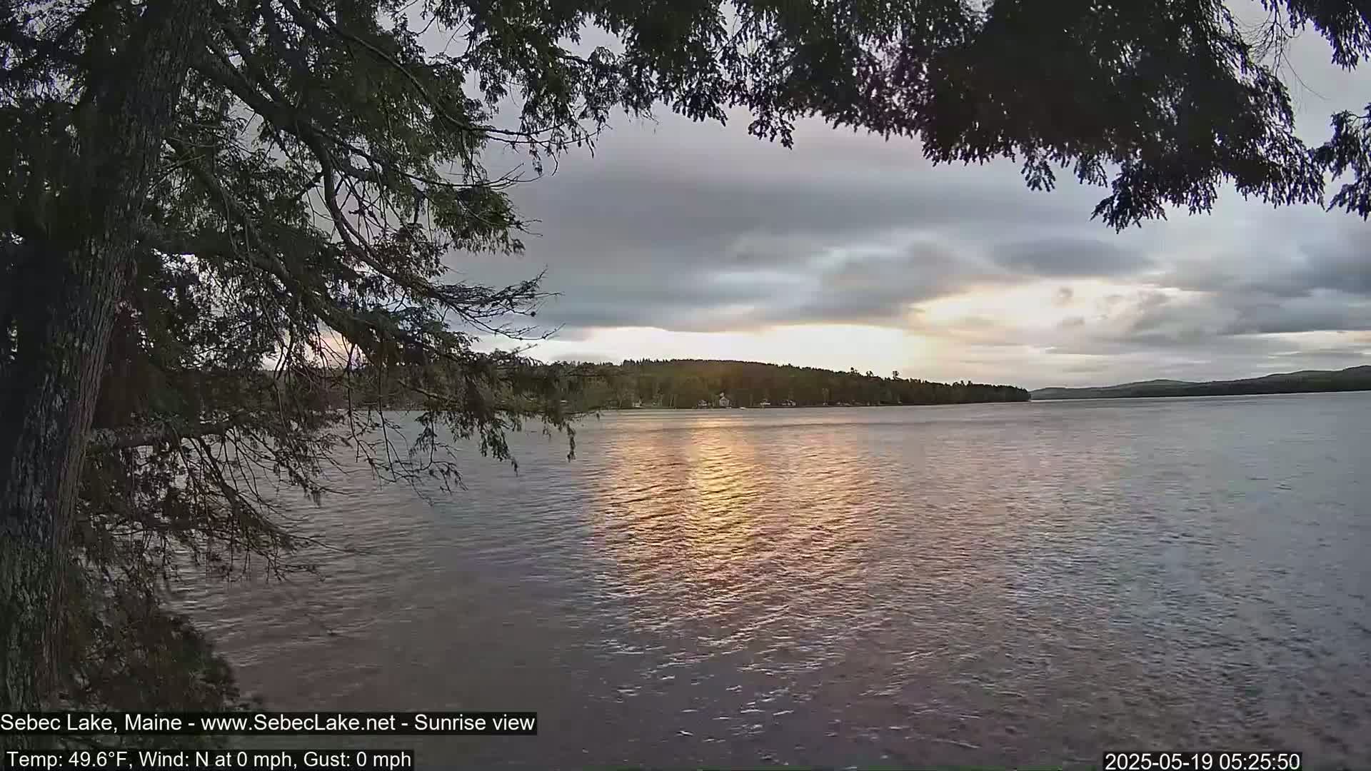 A calm lake at sunrise is seen through the branches of a tree, under a partly cloudy sky.