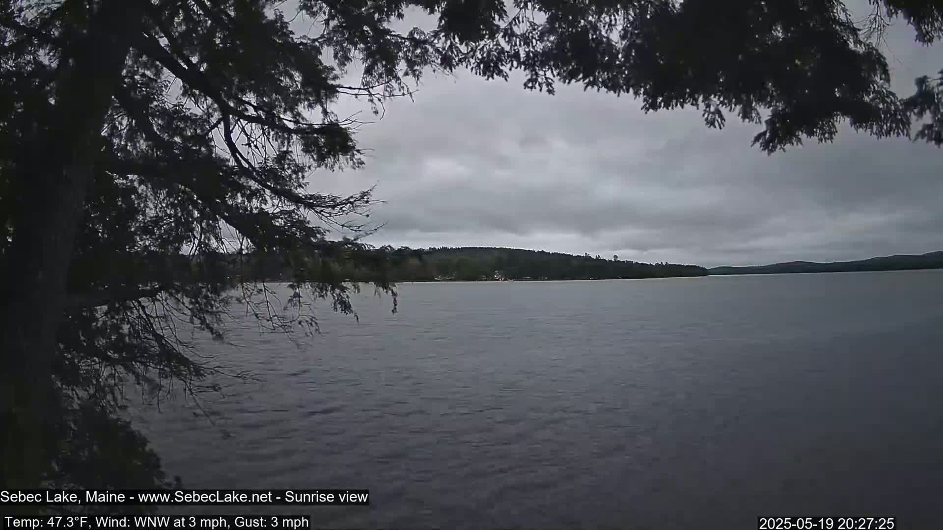 A calm lake under a gray, overcast sky is partially obscured by the branches of a dark tree in the foreground.