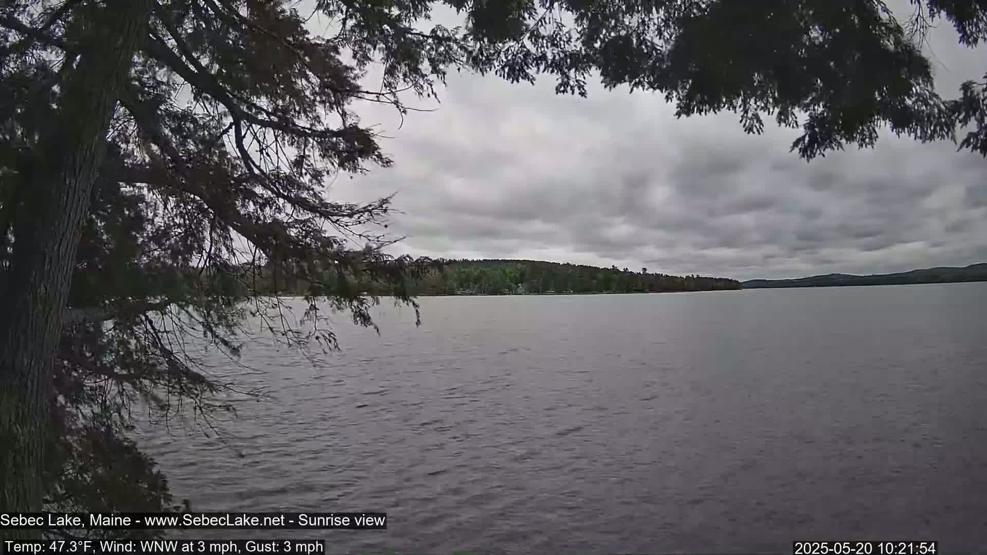 A lake view shows calm water under an overcast sky, partially obscured by tree branches in the foreground.