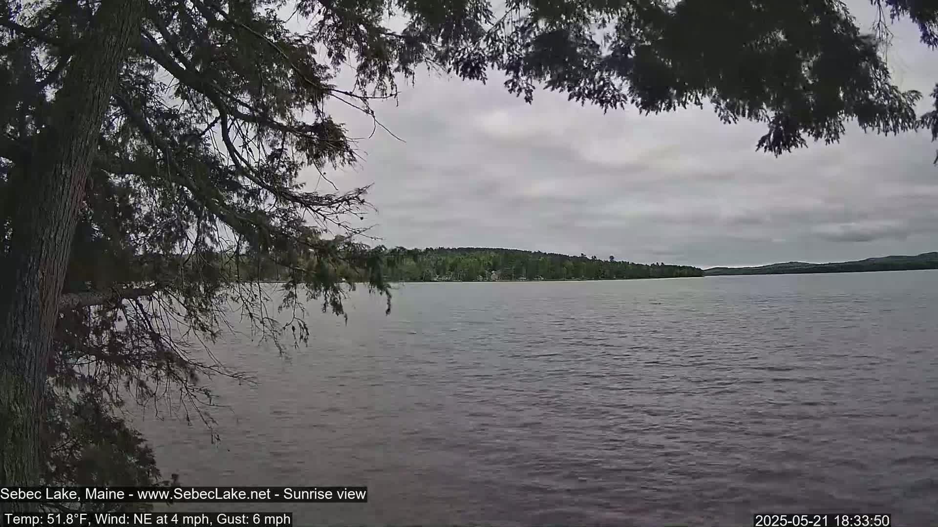 A calm lake with a tree-covered shoreline is seen under an overcast sky.