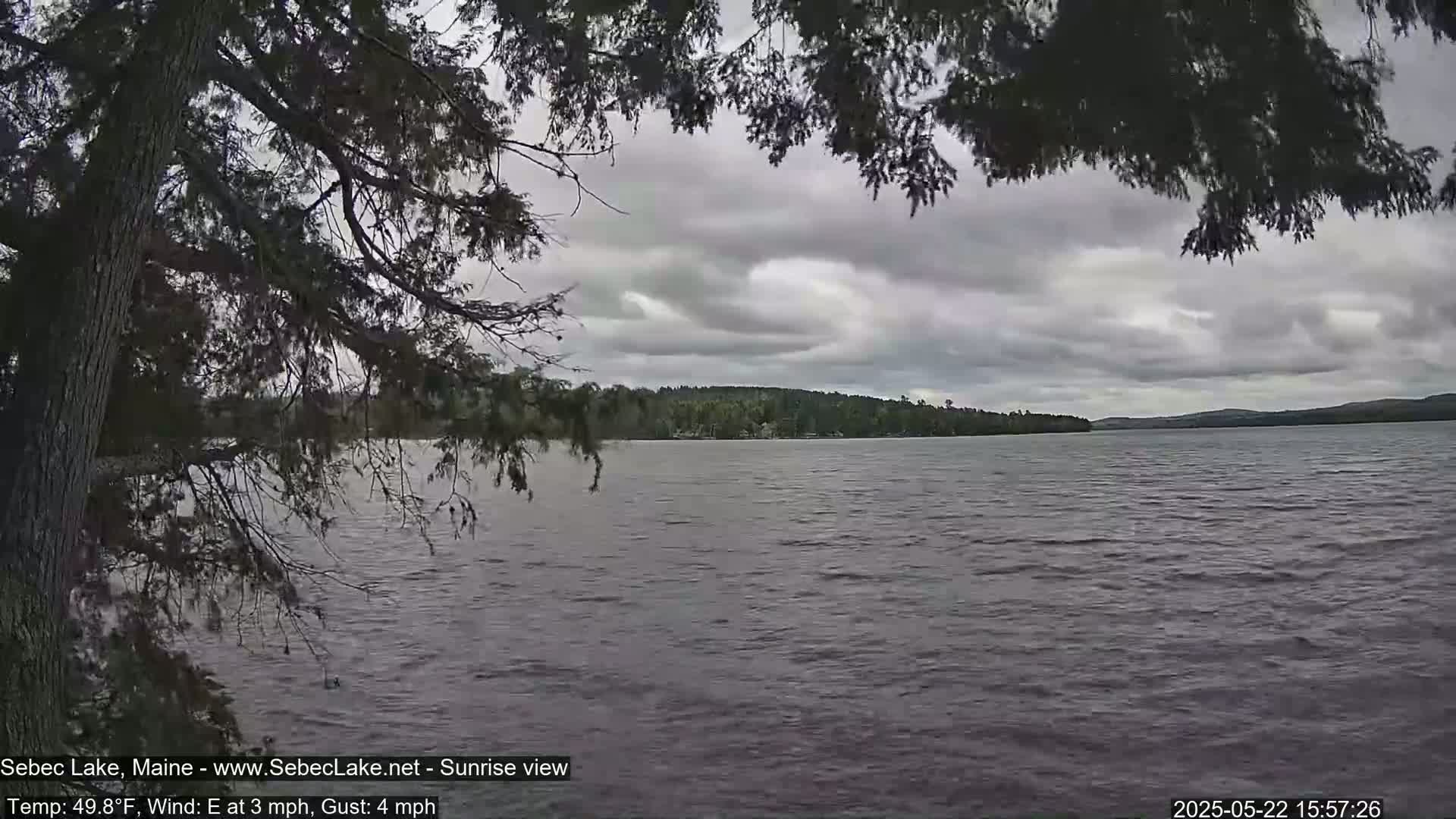 A partly cloudy, breezy day is shown over a lake with a tree branch obscuring part of the view.