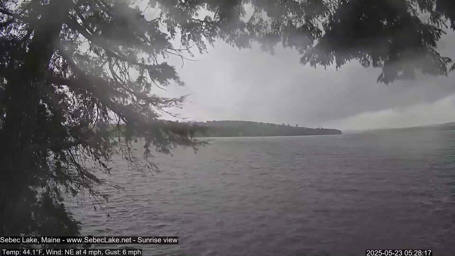 Overcast gray skies and a choppy lake are seen through the branches of a tree, with a distant shoreline visible.