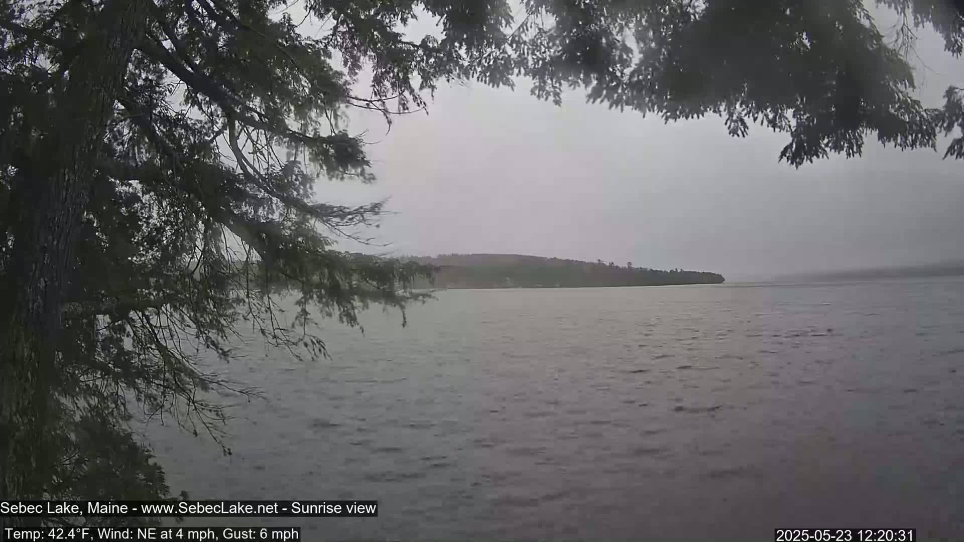 A view of a lake and distant shoreline on an overcast day, partially obscured by tree branches in the foreground.