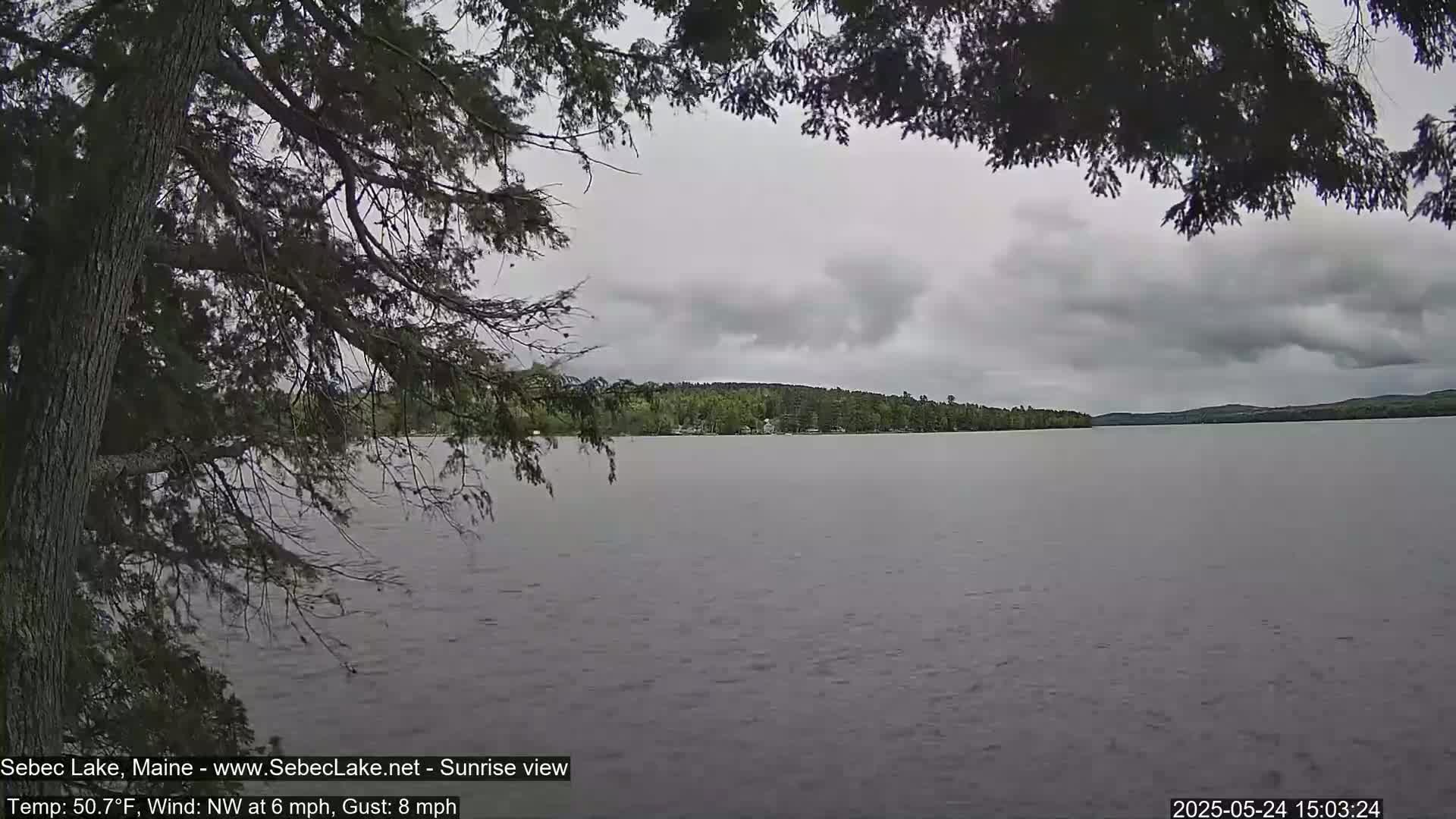 A calm lake under an overcast sky is partially obscured by tree branches in the foreground.