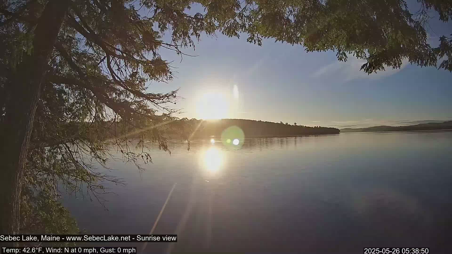 A calm lake at sunrise is viewed from under the branches of a tree, with a clear sky and a tranquil atmosphere.