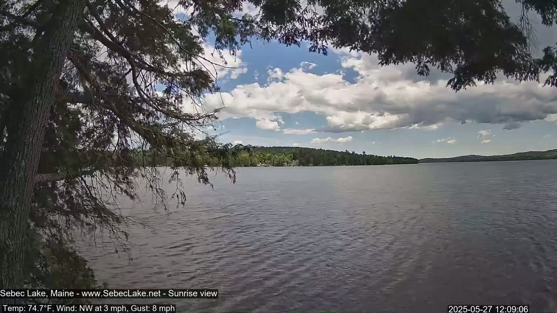 A calm lake under a partly cloudy sky is seen from behind tree branches.