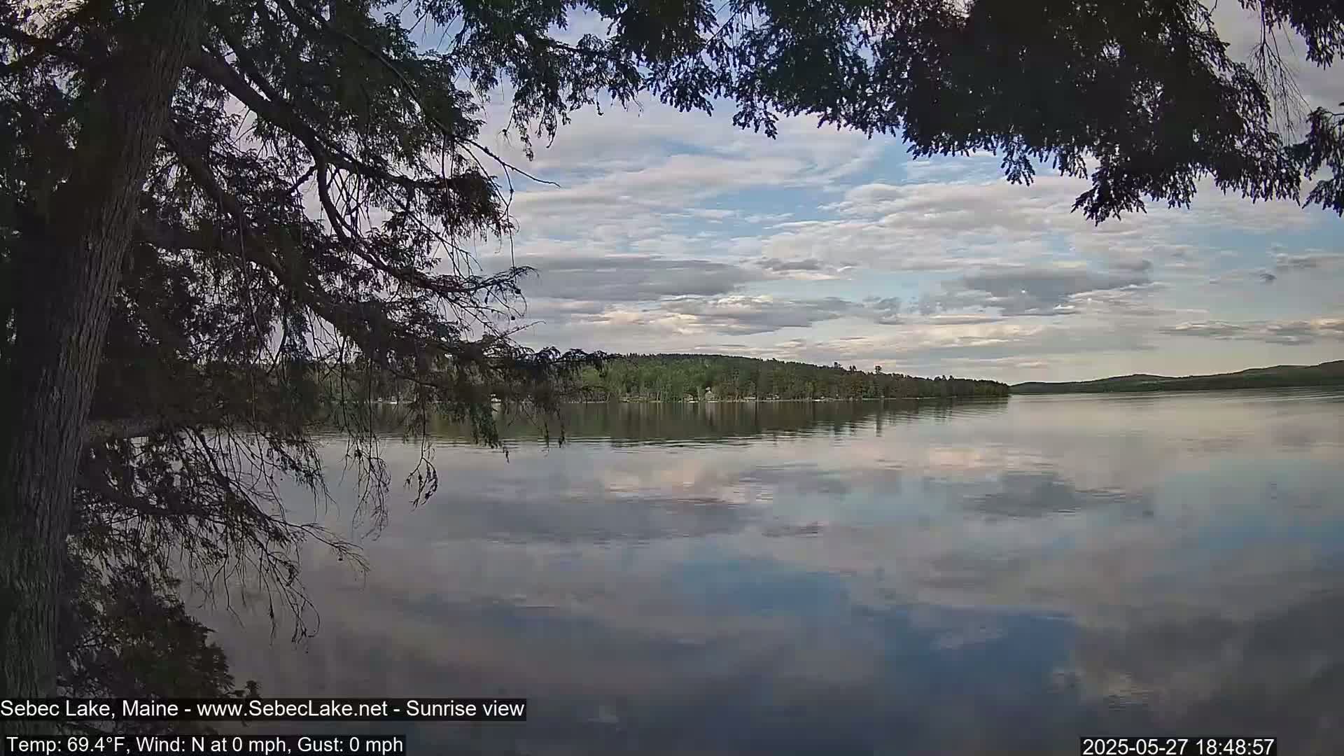 A calm lake with a cloudy sky reflects the trees and land on the opposite shore, partially obscured by overhanging tree branches.
