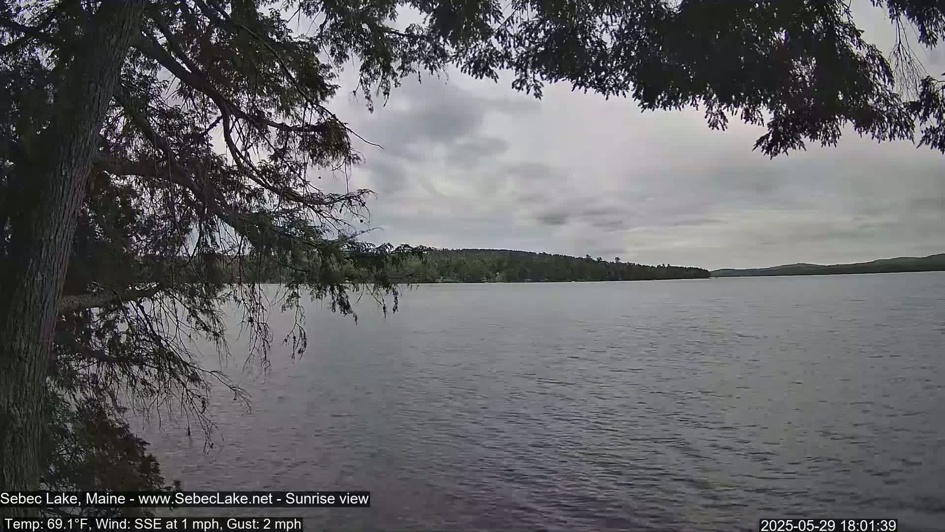A calm lake is viewed from under the branches of a tree on an overcast day.