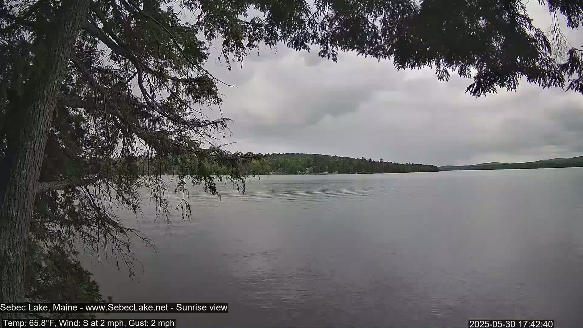 A calm lake under an overcast sky is partially obscured by the branches of a tree.