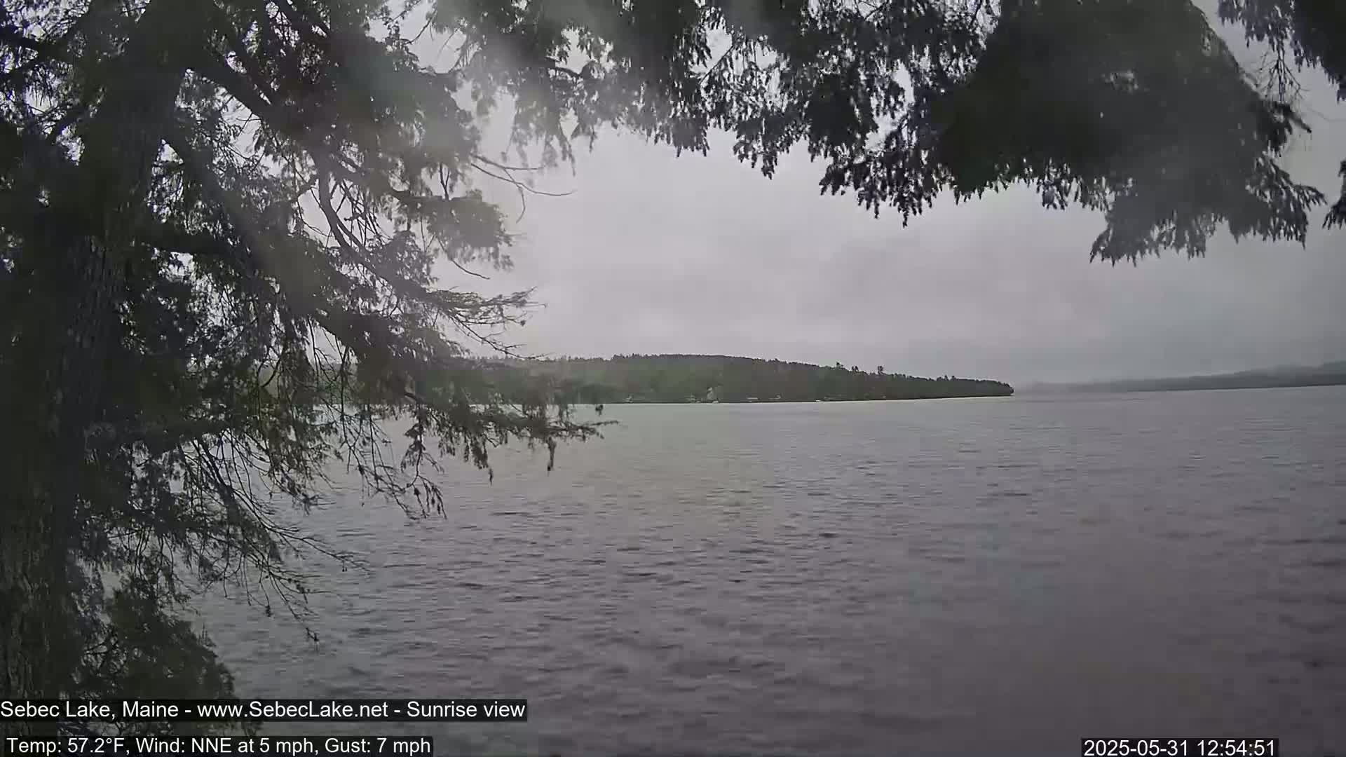 A lake view is partially obscured by tree branches on an overcast day with a 5 mph wind.