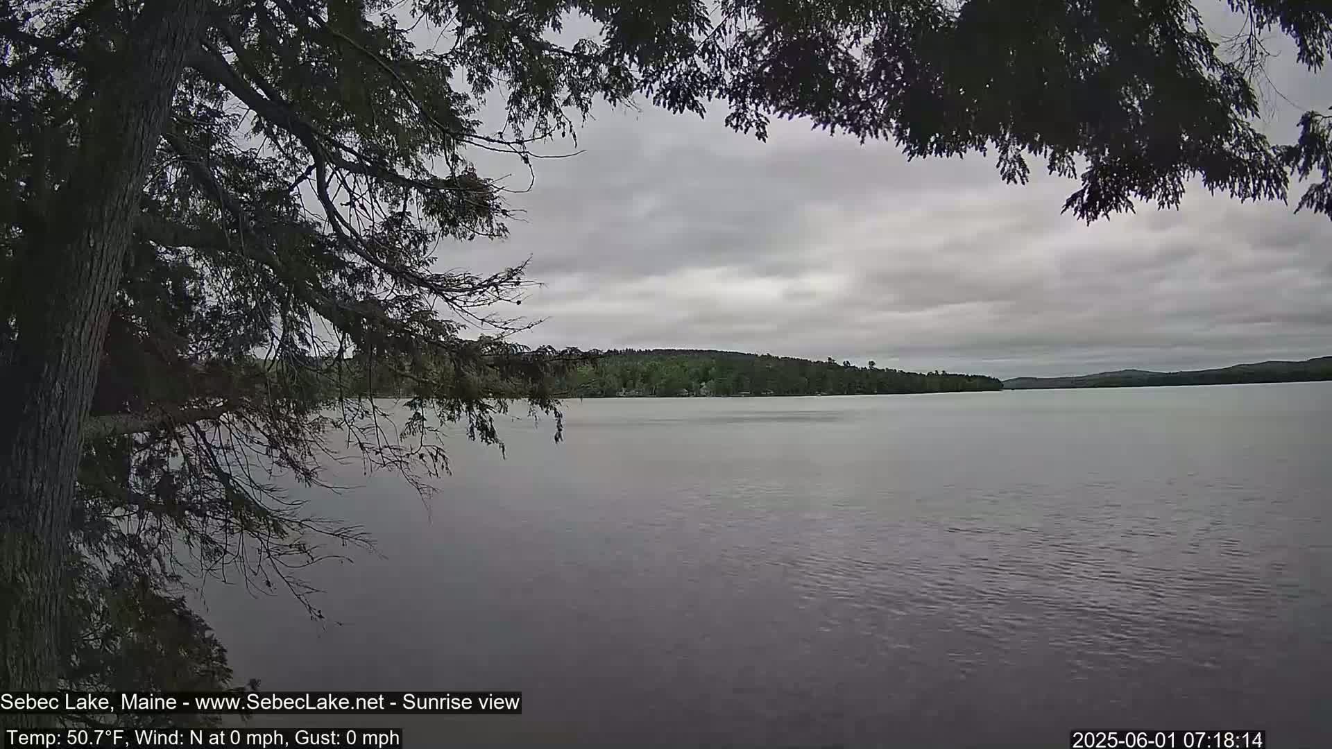 A calm lake with a treeline on the far shore is viewed from behind a dark evergreen tree under an overcast sky.