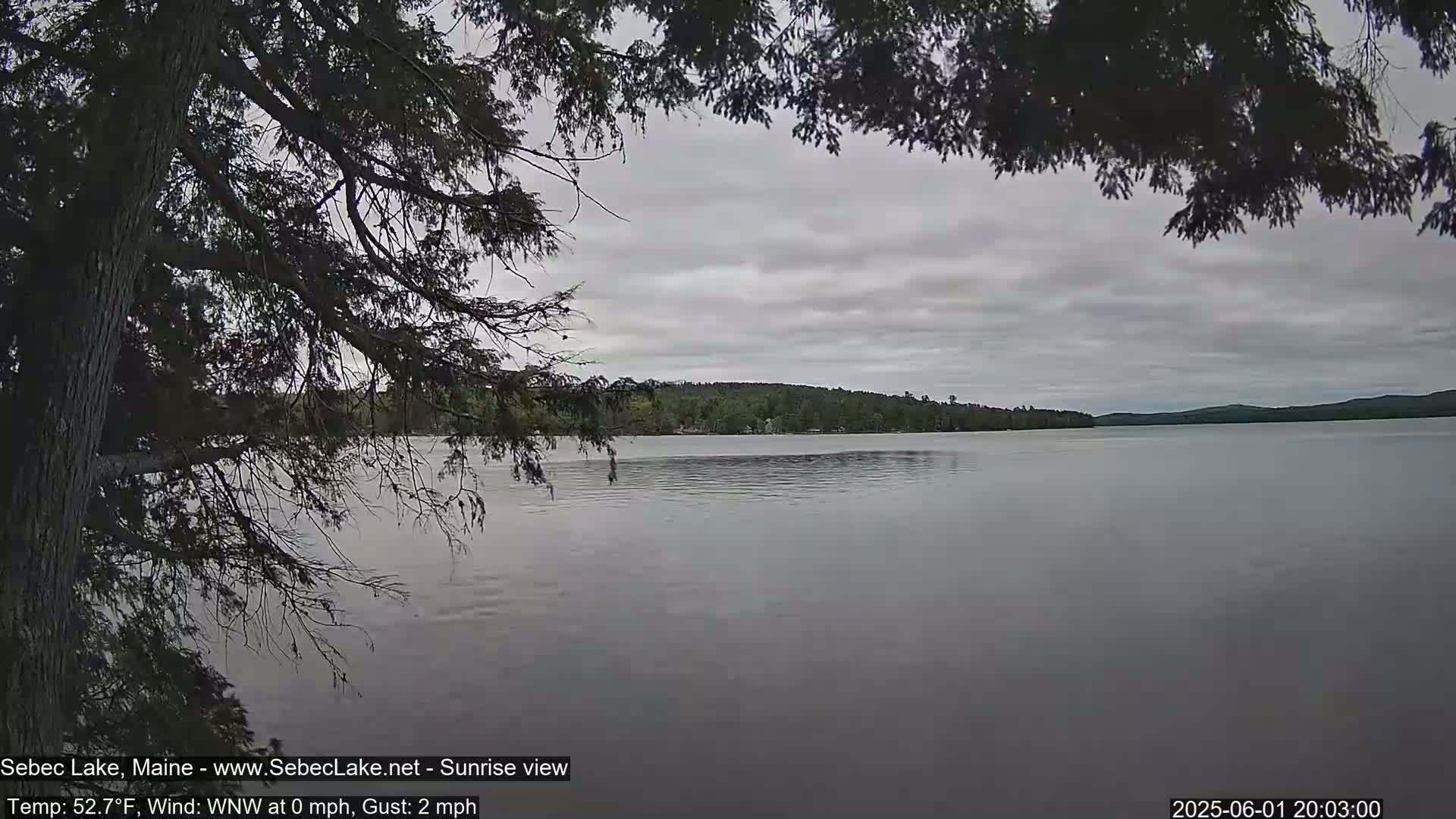 A calm lake under an overcast sky is partially obscured by tree branches in the foreground.