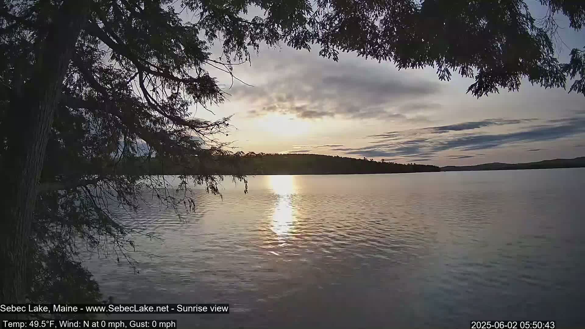 A calm lake at sunrise, viewed from under the branches of a tree, with a mostly cloudy sky.